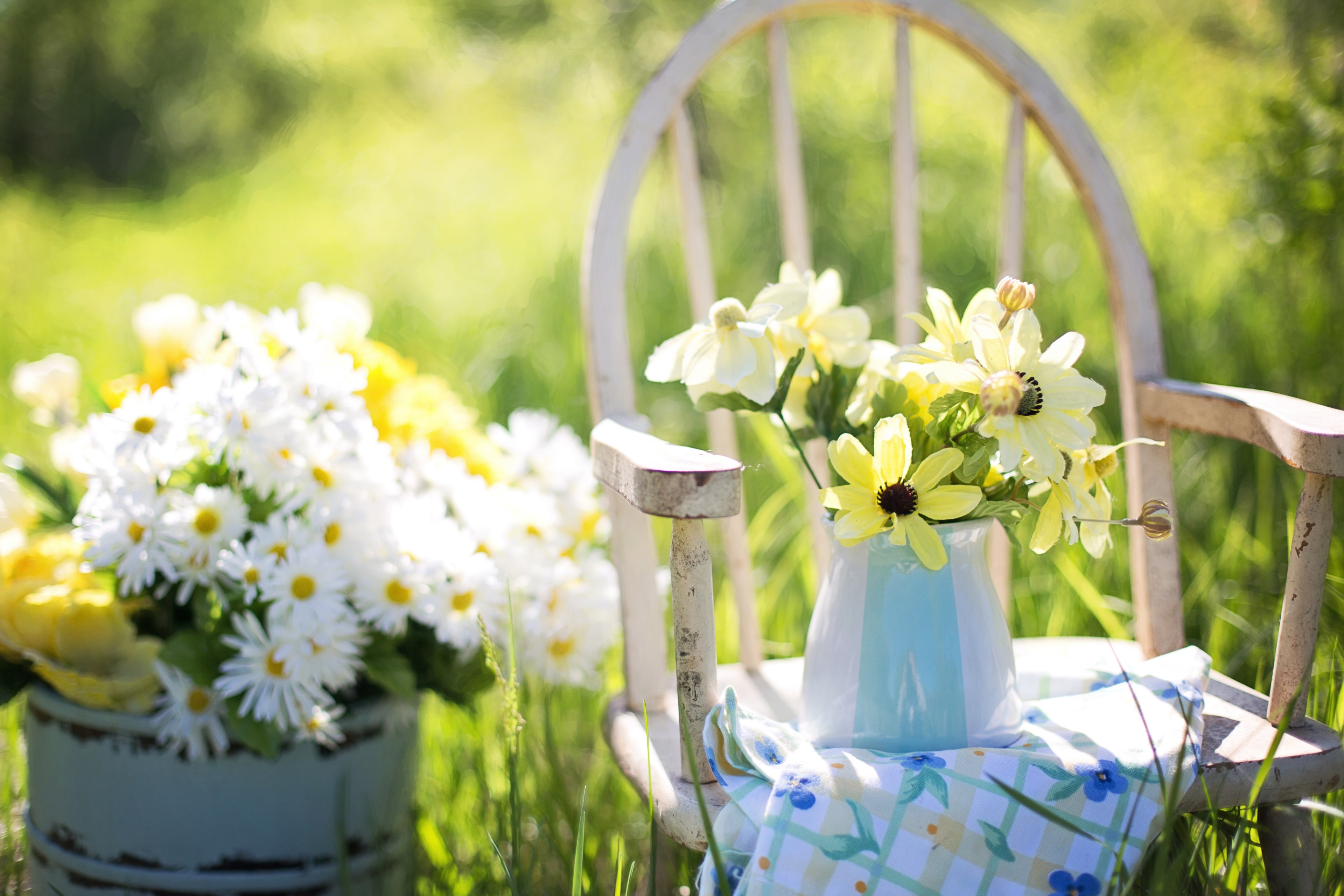 summer still life daisies yellow garden flowers 4k, HD Wallpaper