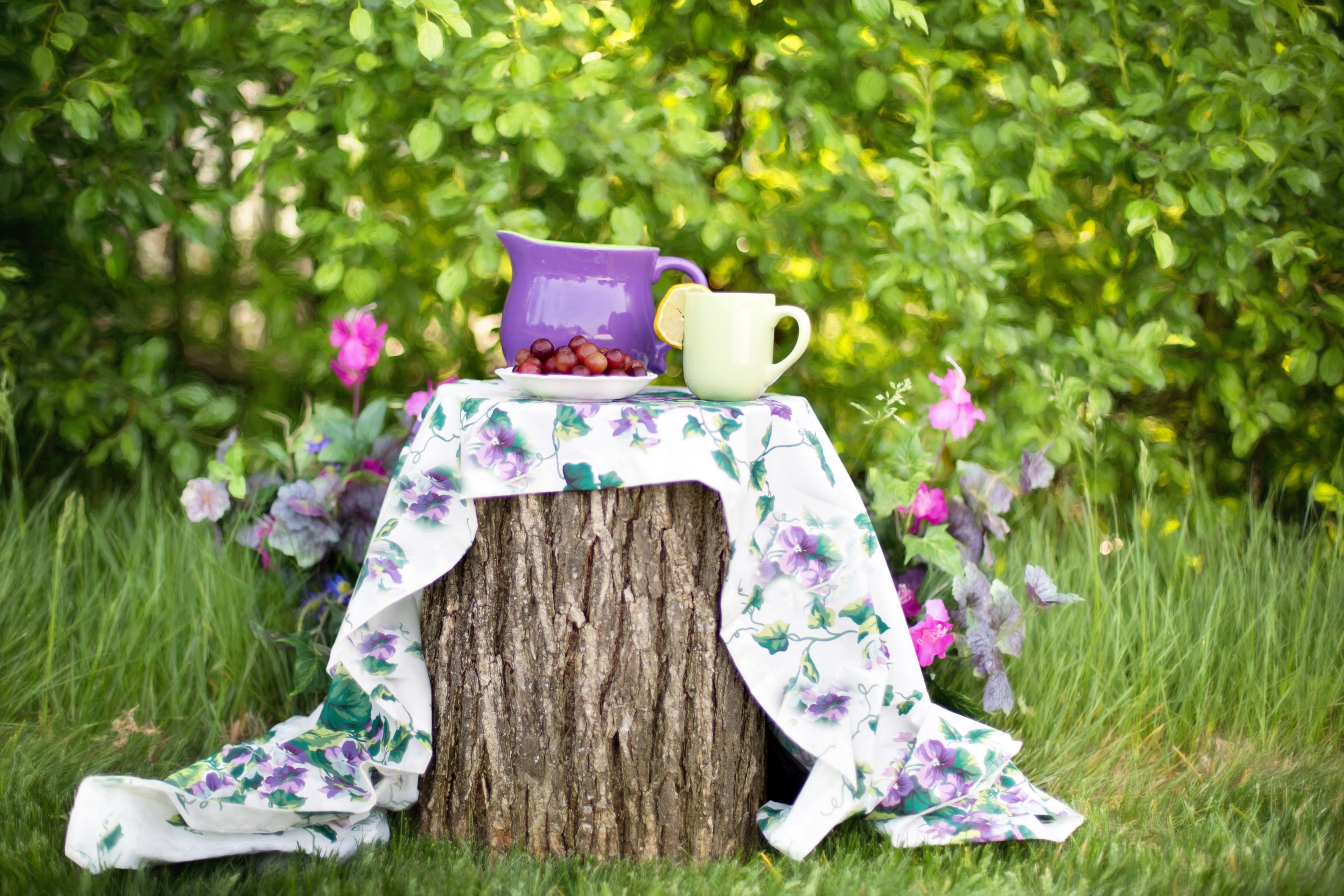 summer still life pitcher garden outdoors 4k, HD Wallpaper