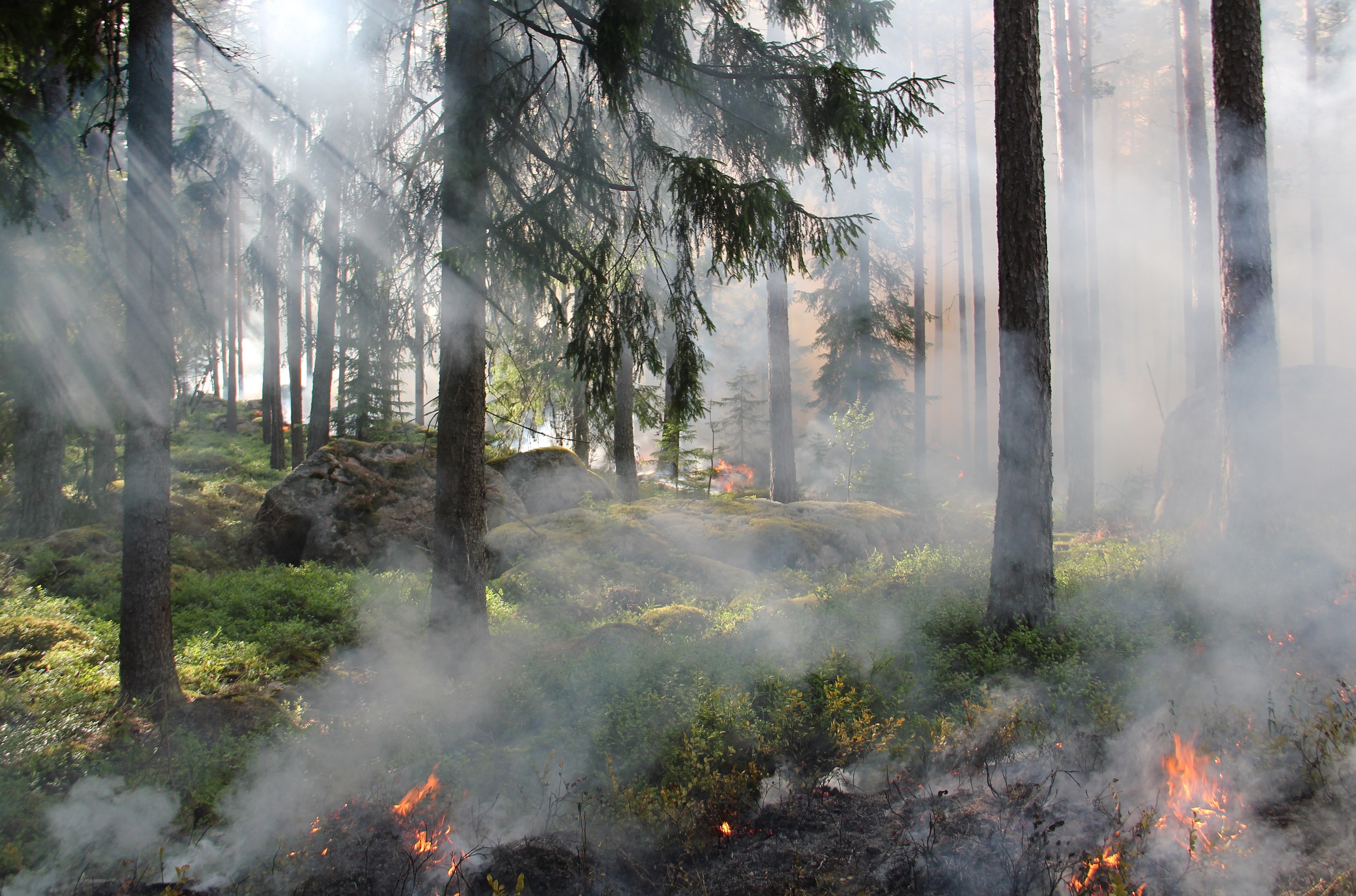 styggkärret reserve burning fire smoke 4k, HD Wallpaper