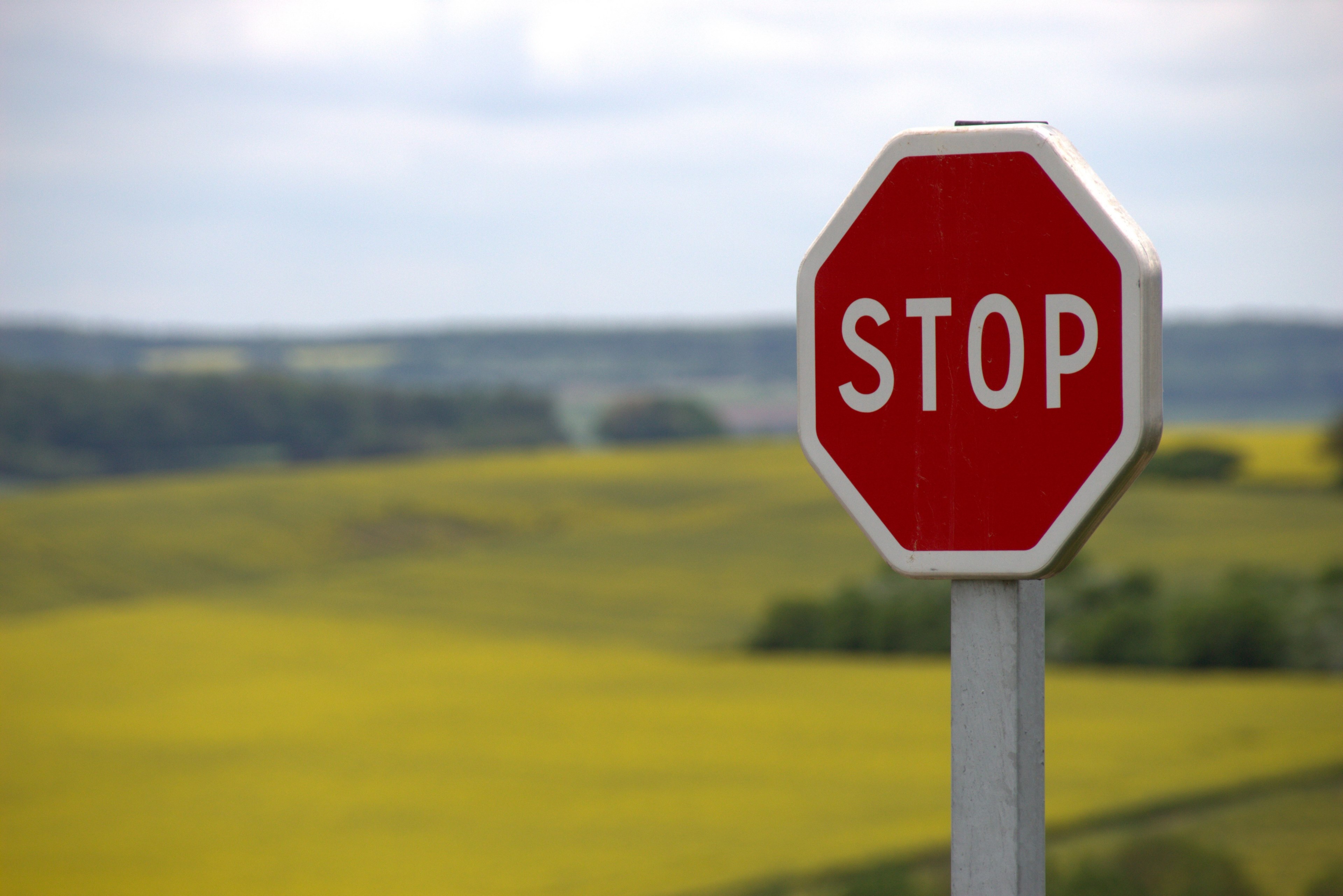 stop shield traffic sign road sign attention 4k, HD Wallpaper