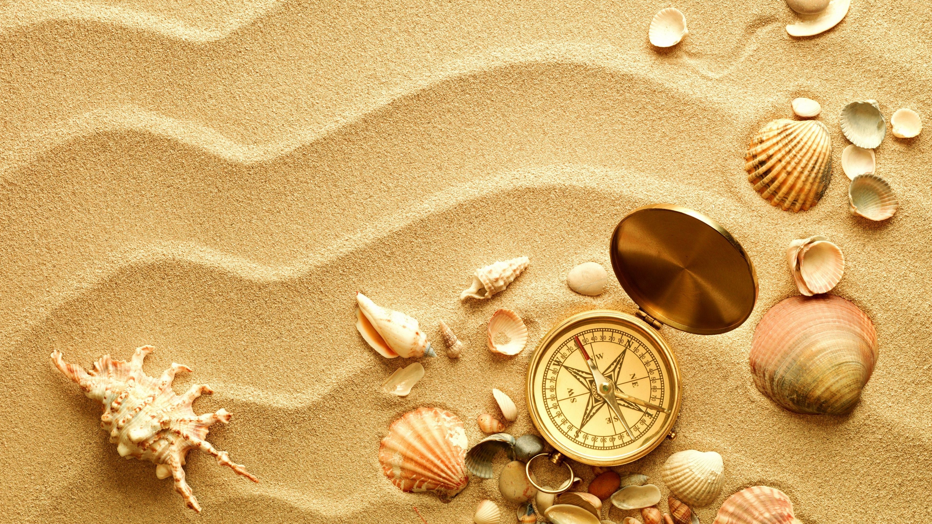 compass, shells, sand, 4k, HD Wallpaper
