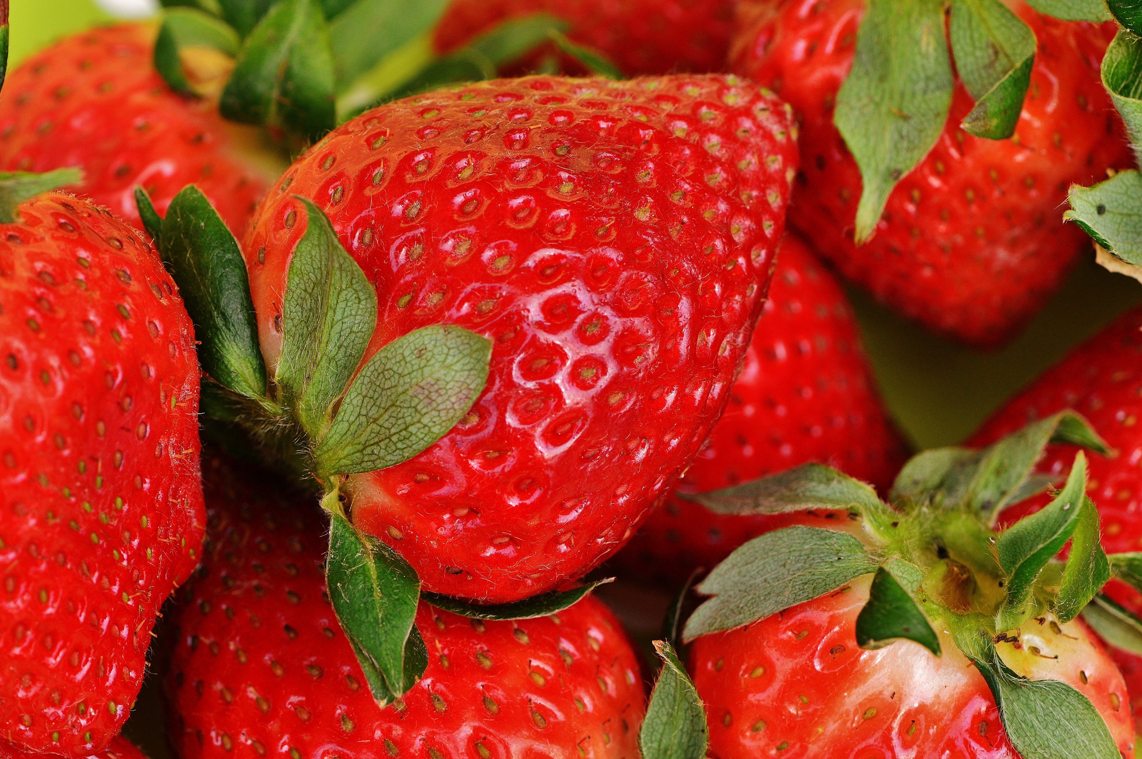 strawberries fruit close fruits red sweet food 4k, HD Wallpaper