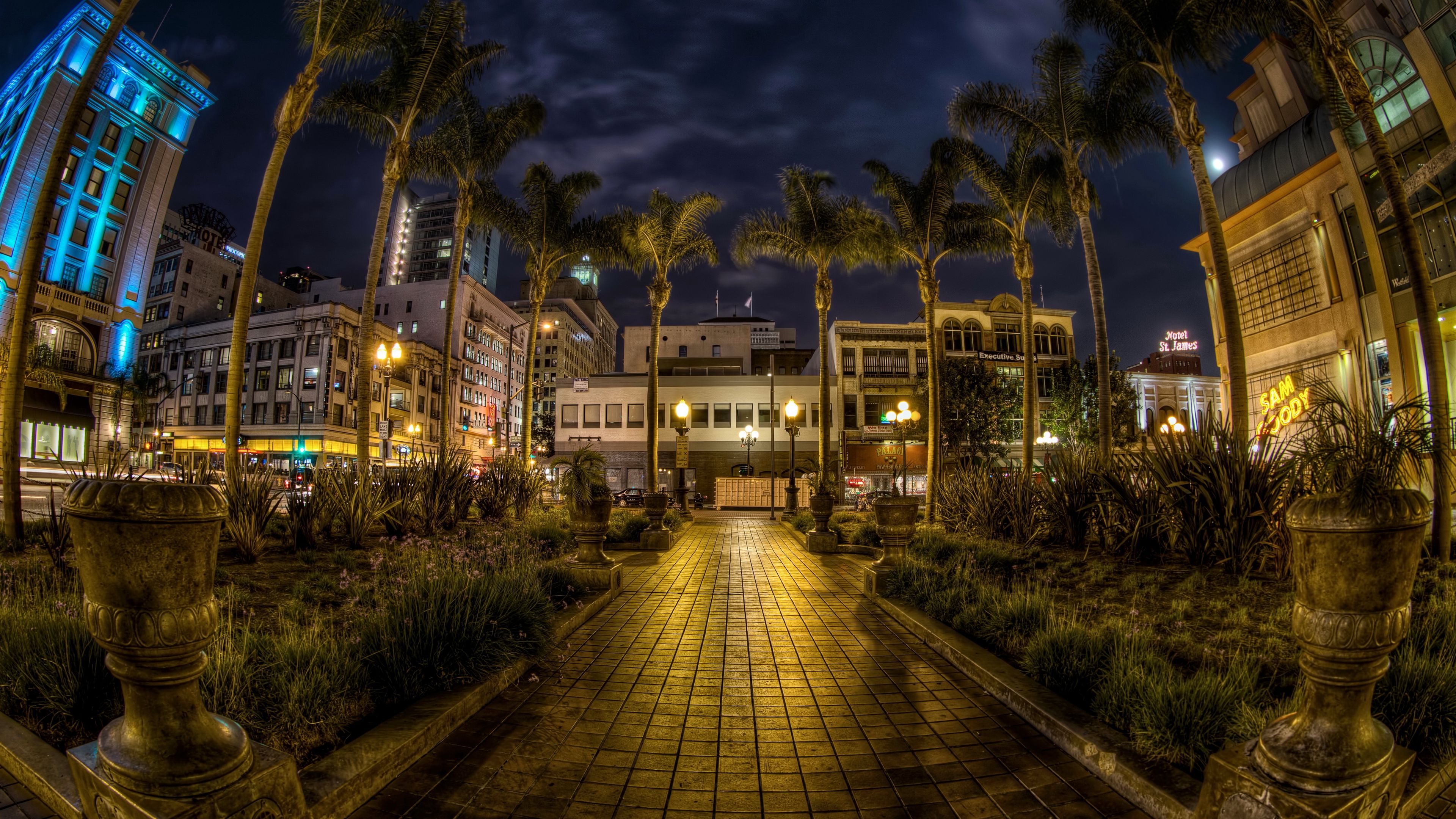 usa, san diego, california, trees, palms, night, pavement, hdr, 4k, HD Wallpaper