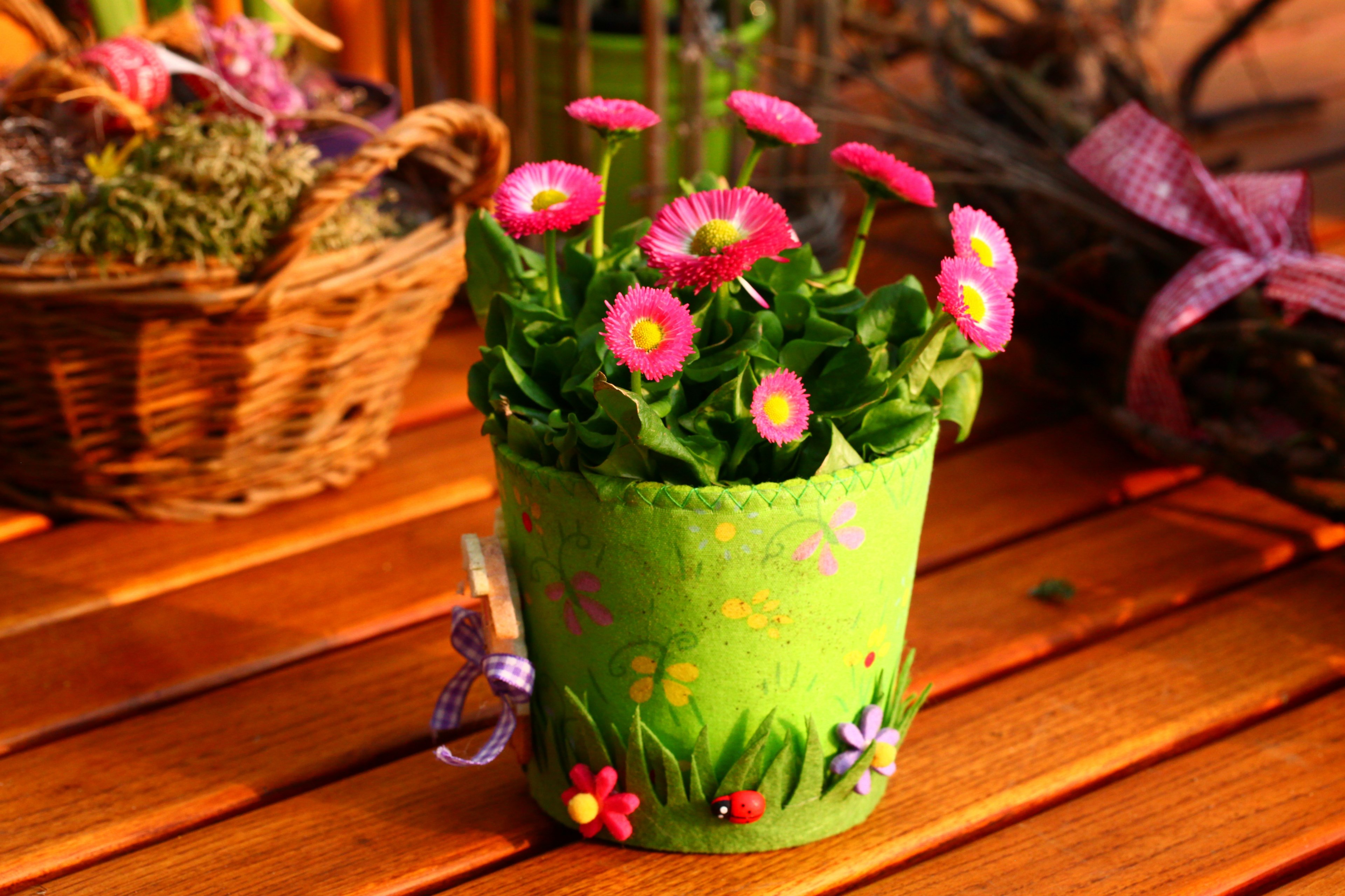 spring decoration nature garden plant flowers 4k, HD Wallpaper