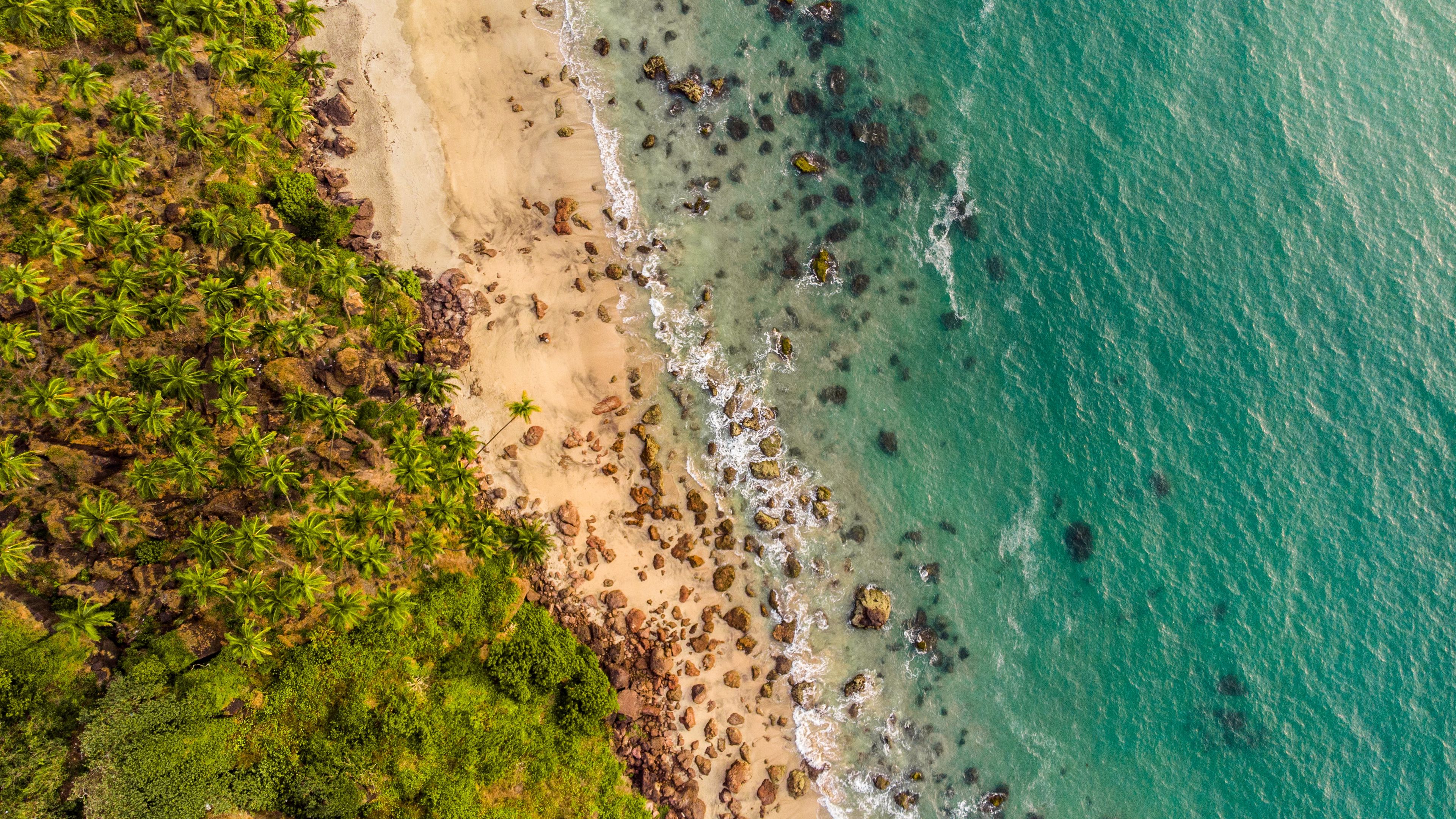 beach, aerial view, shore, trees, sand, 4k, HD Wallpaper