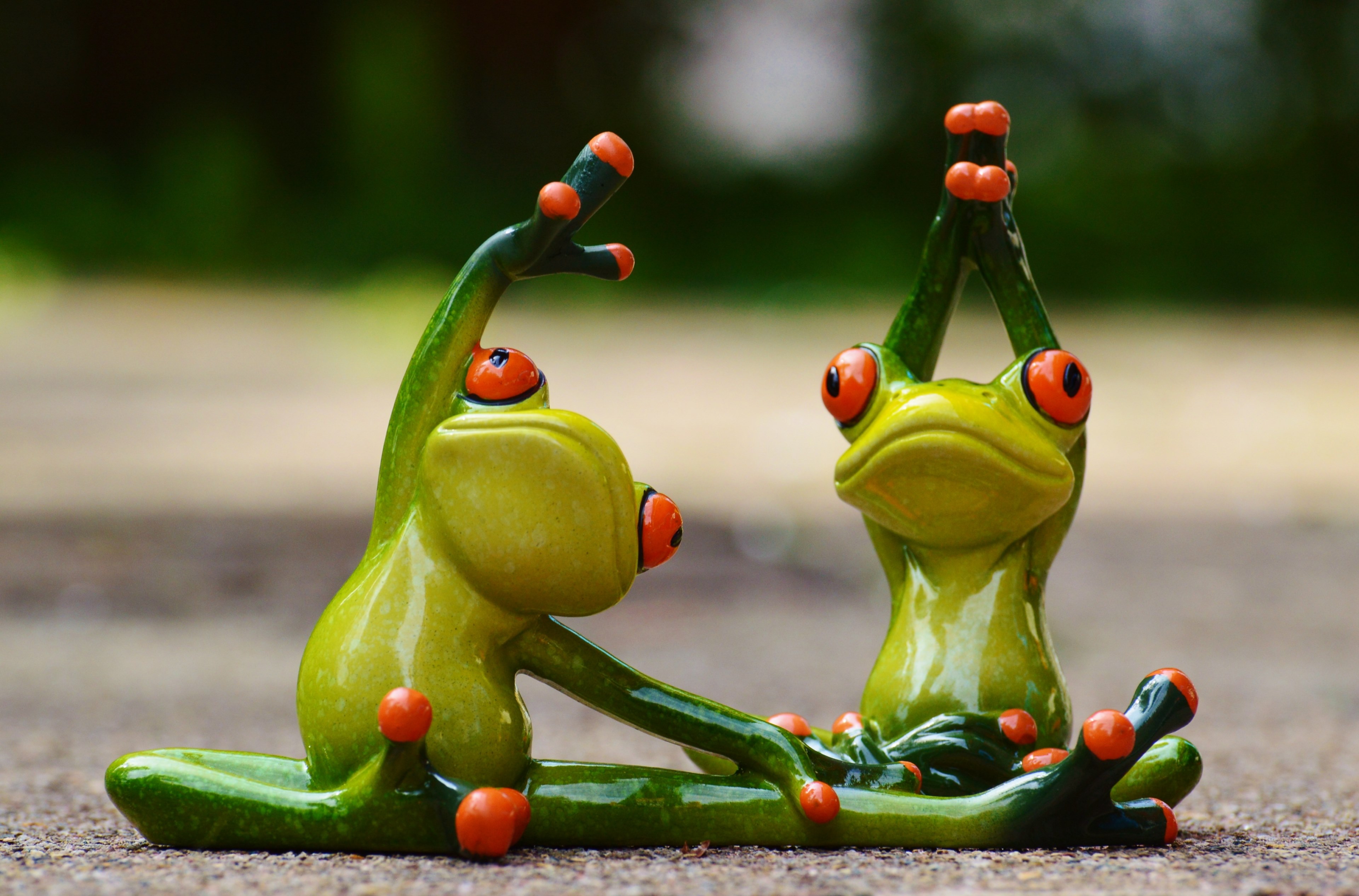 sport gymnastics frog funny fitness fit sporty 4k, HD Wallpaper