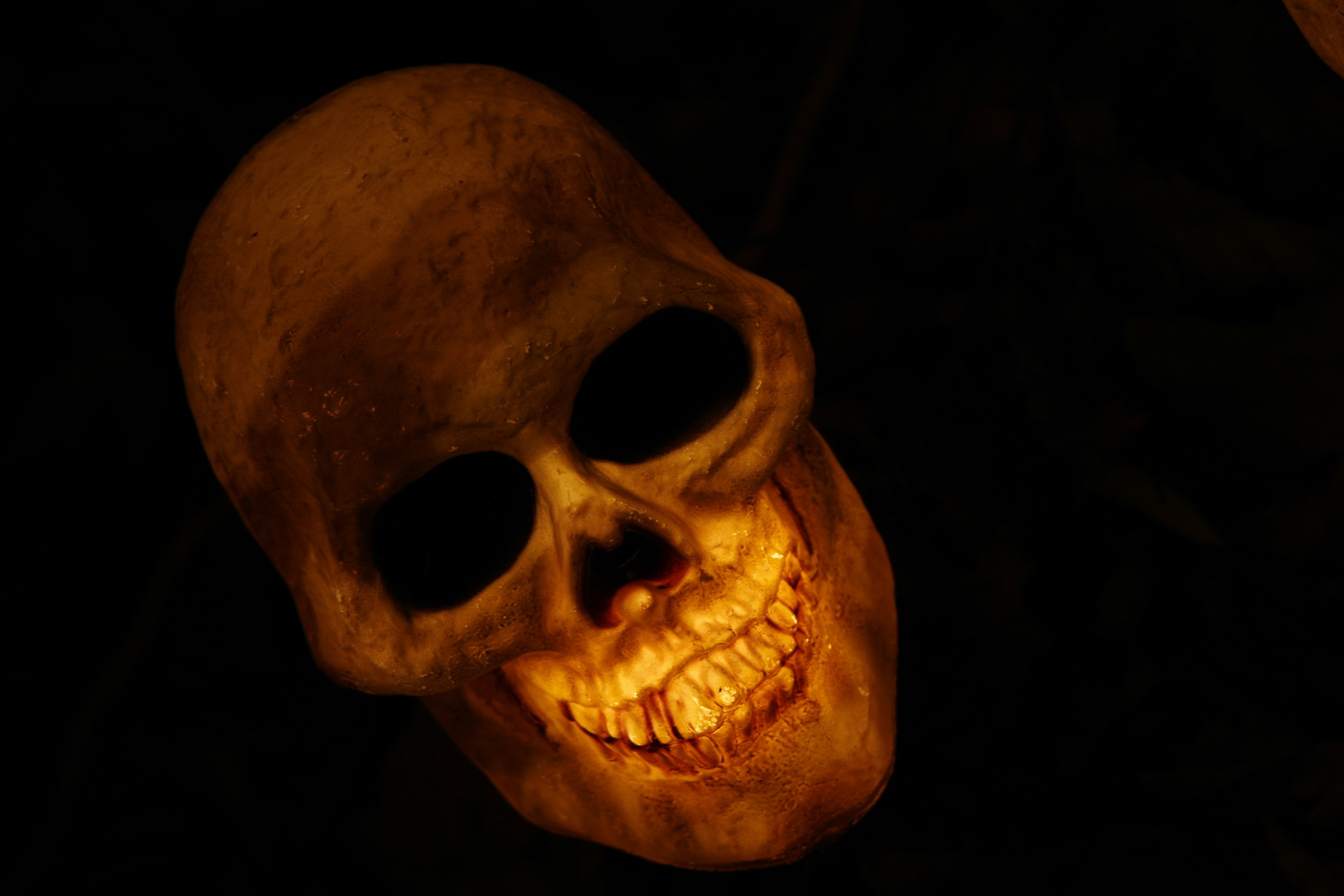skull skull and crossbones skeleton bone smile 4k, HD Wallpaper