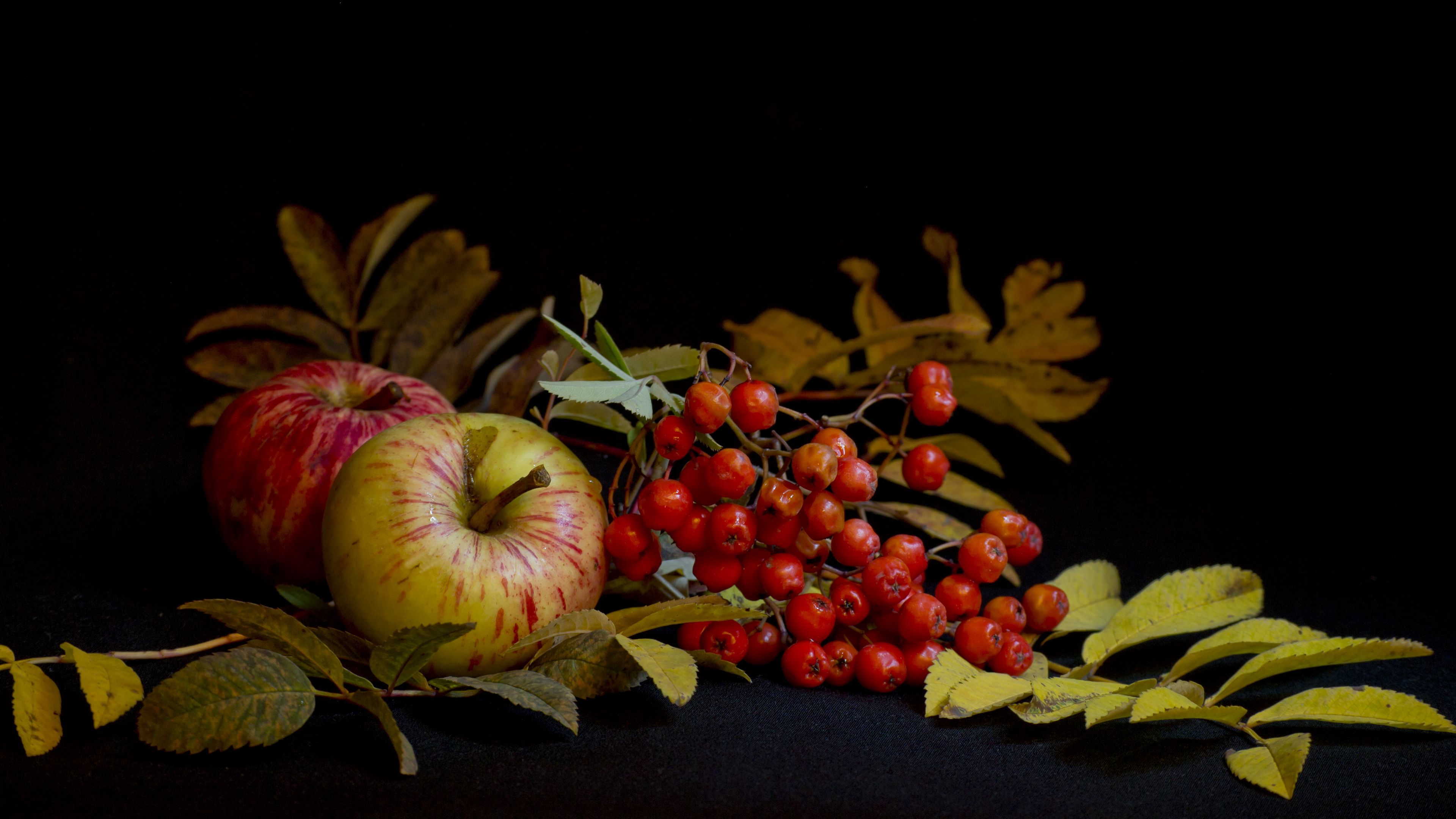 mountain ash, apple, still life, leaves, 4k, HD Wallpaper
