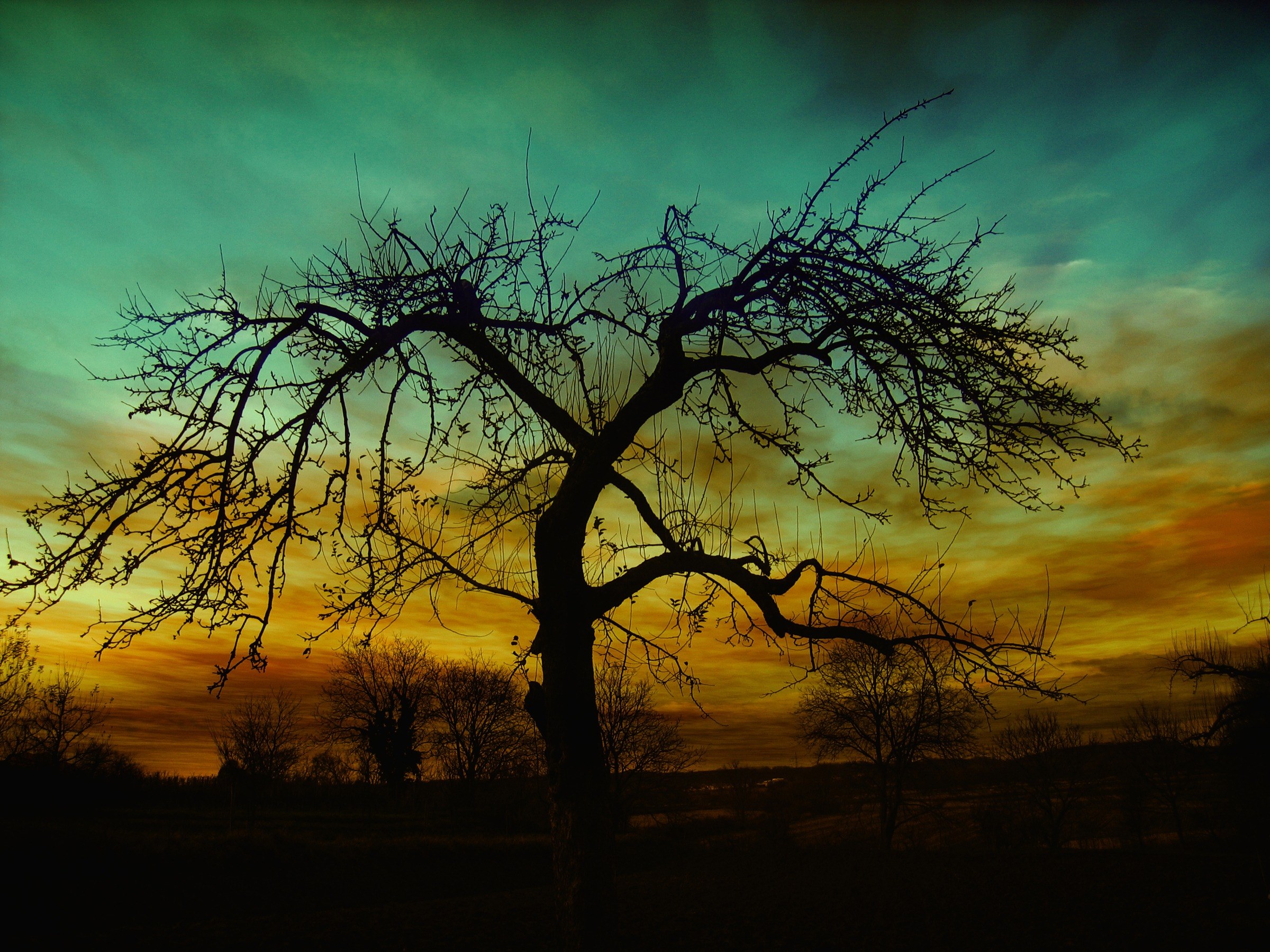 setting sunset atmosphere clouds mood evening 4k, HD Wallpaper