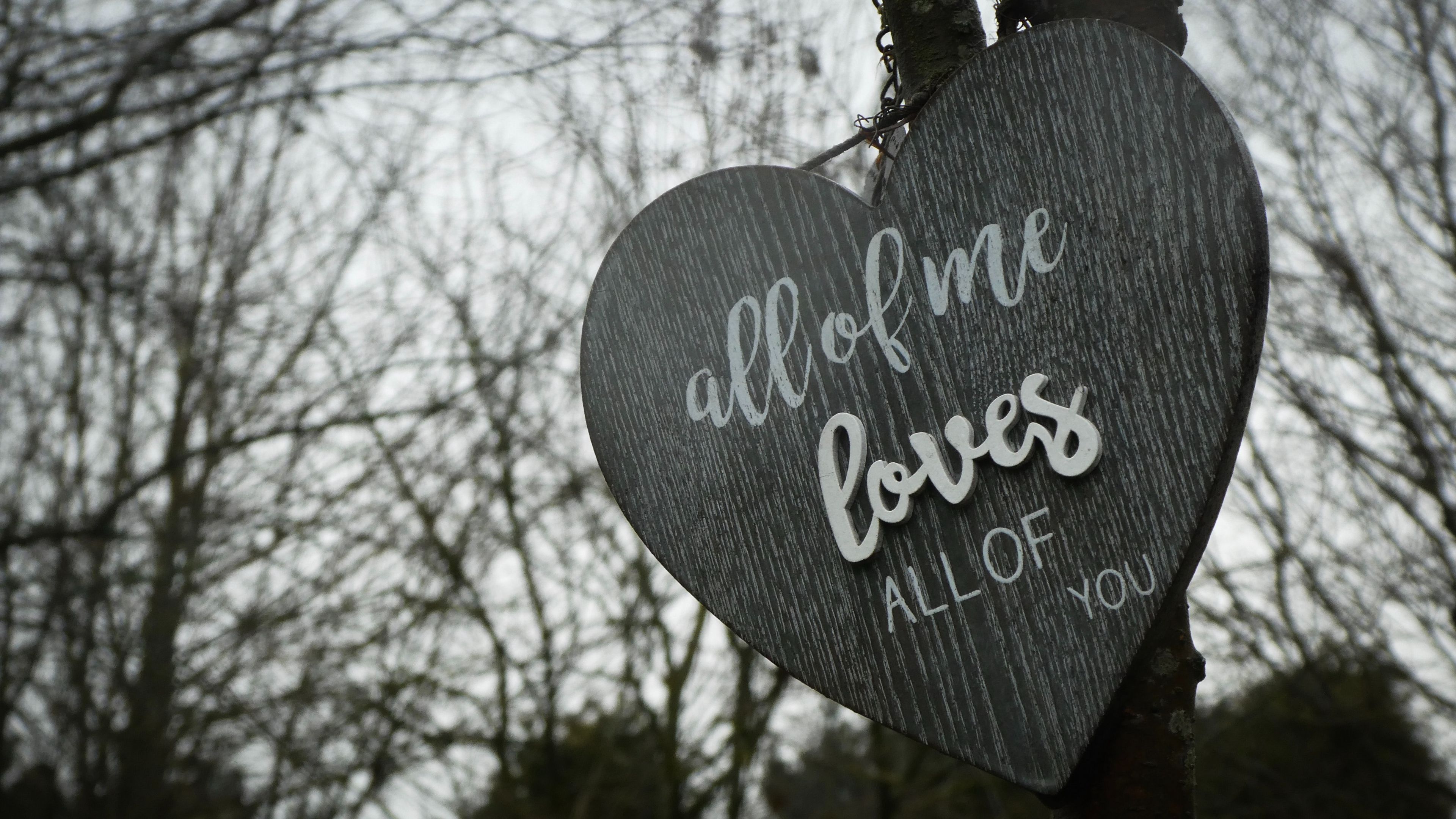 words, inscription, love, tablet, 4k, HD Wallpaper