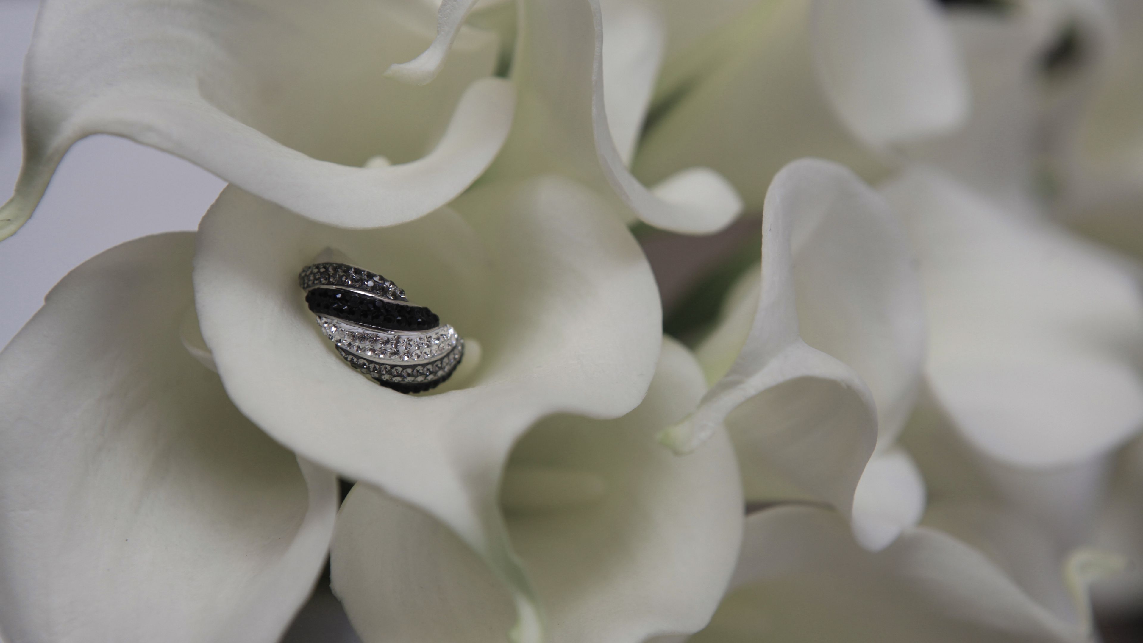 calla, flower, petals, ring, 4k, HD Wallpaper