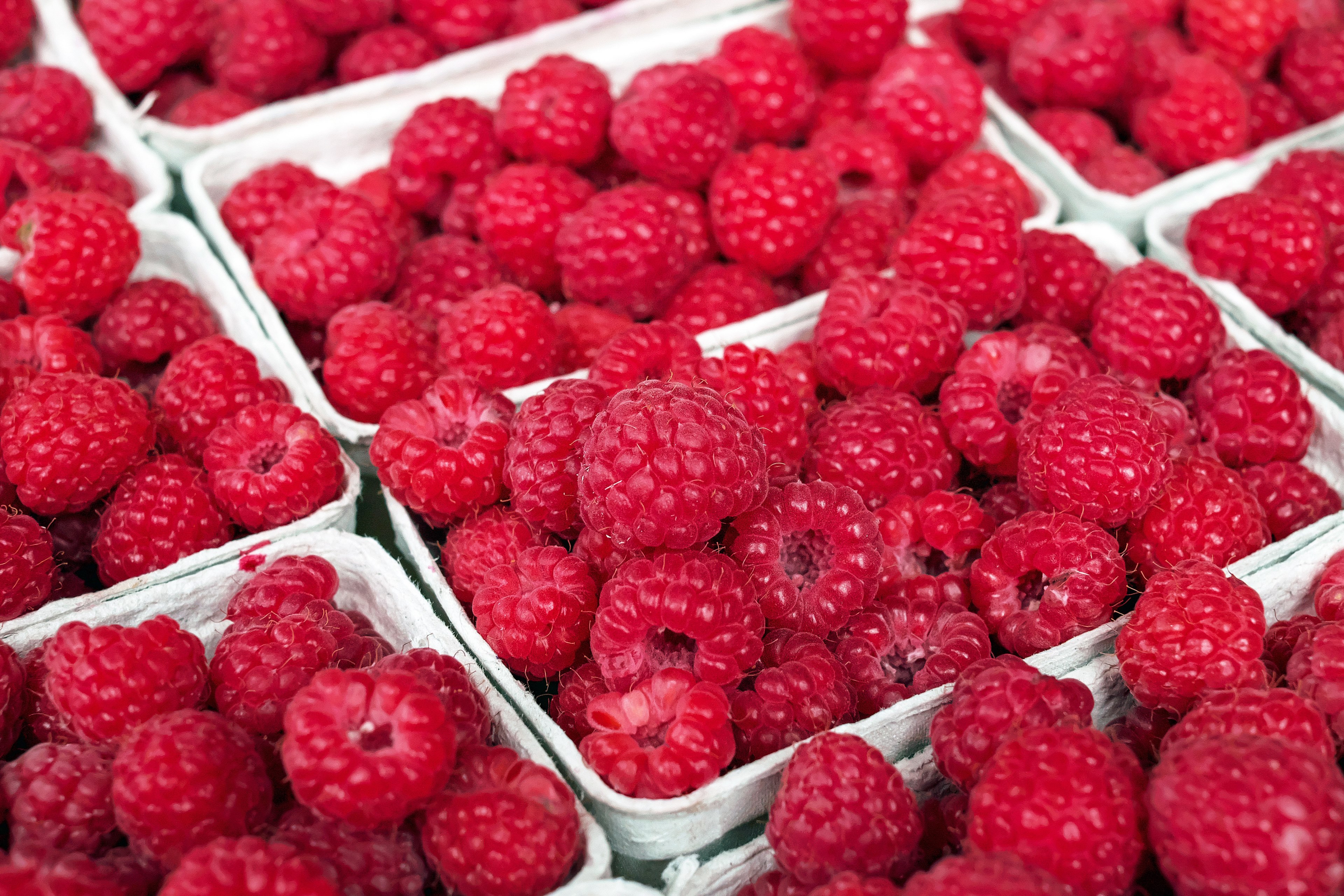 raspberry berry fruit fruits red summer 4k, HD Wallpaper