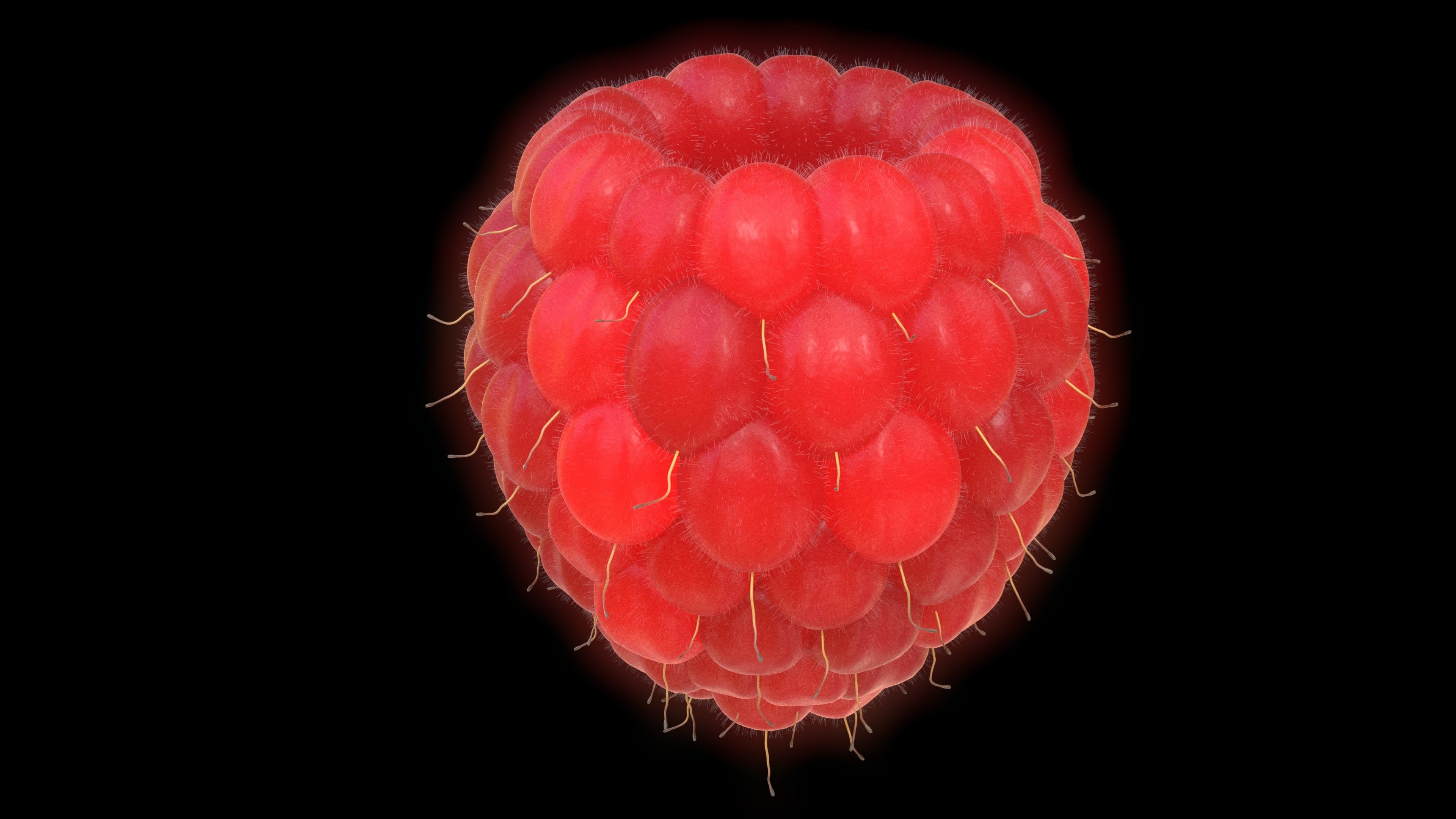 raspberry fruit red large 3d blender 4k, HD Wallpaper