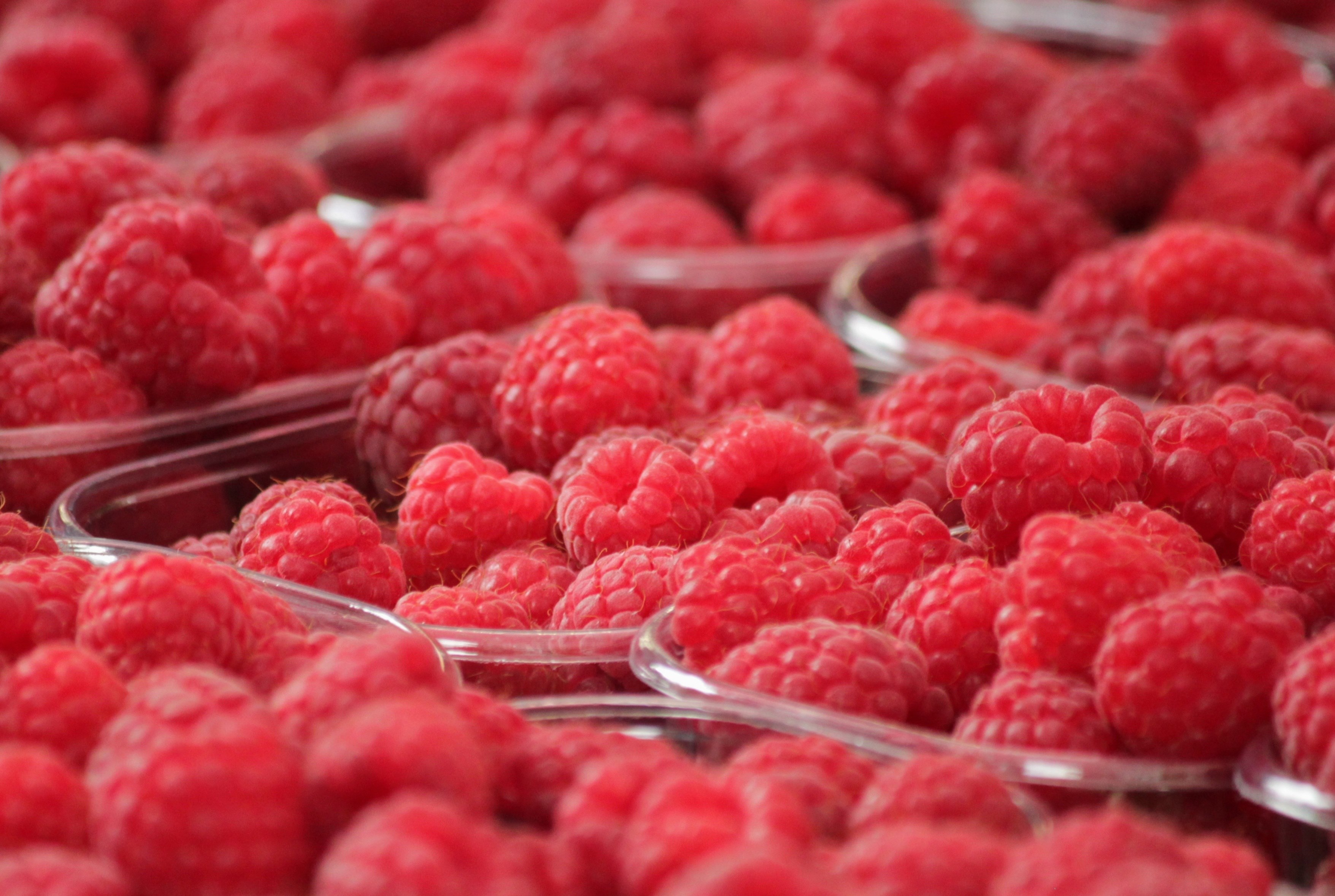 raspberries fruits berries fruit red food berry 4k, HD Wallpaper