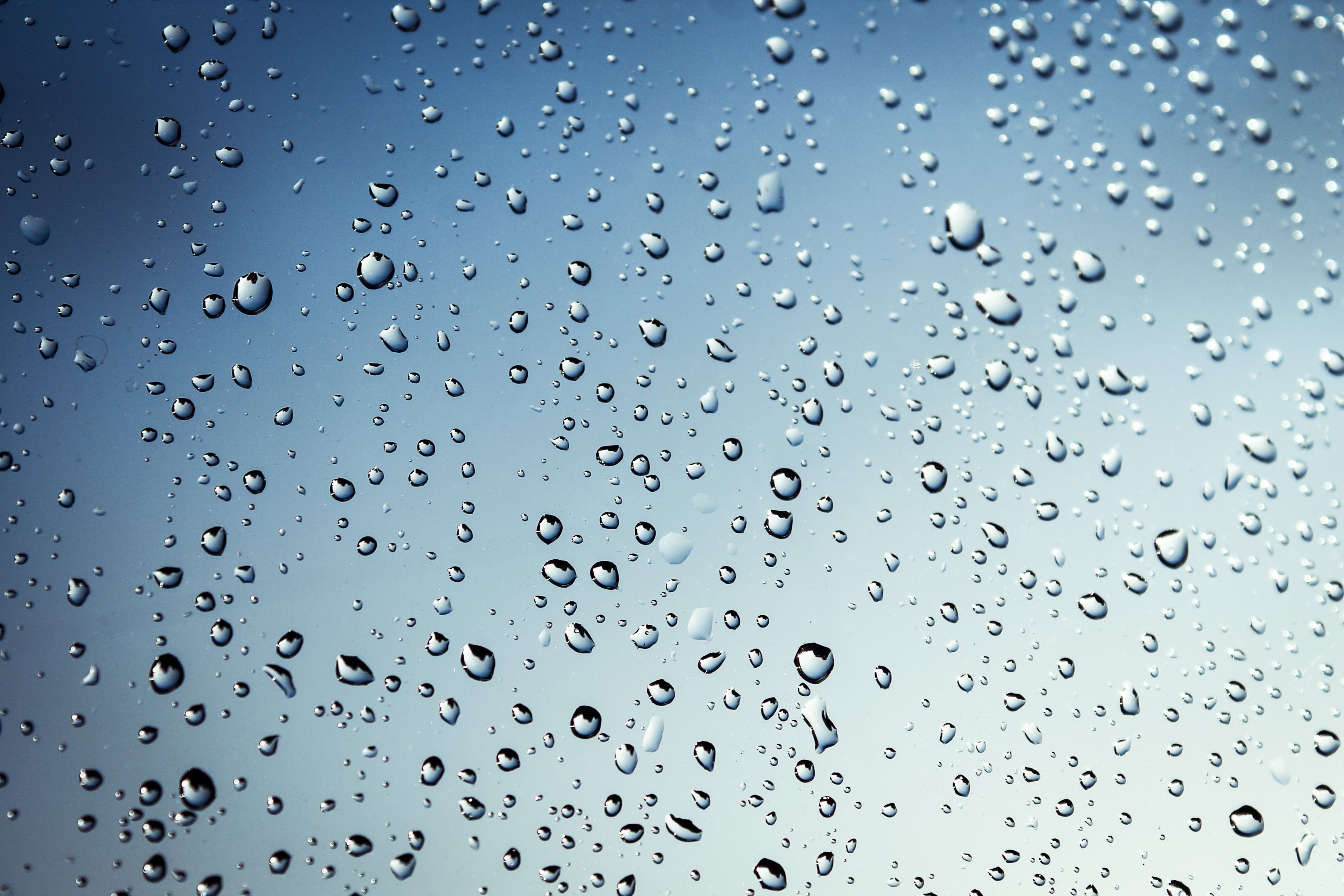 rain after the rain a drop of drop of rain drops 4k, HD Wallpaper