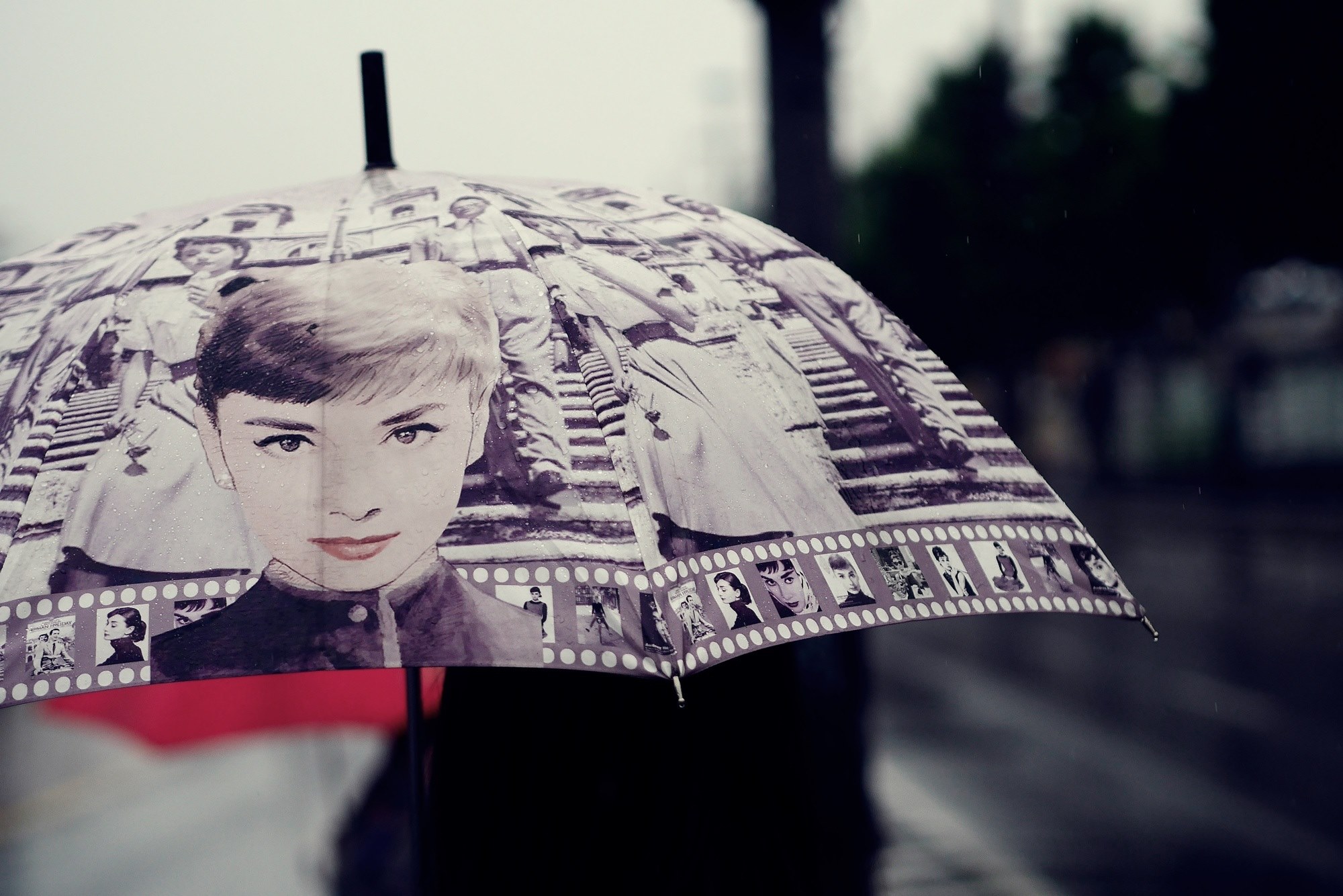rain umbrella raindrop impression beauty rainy 4k, HD Wallpaper