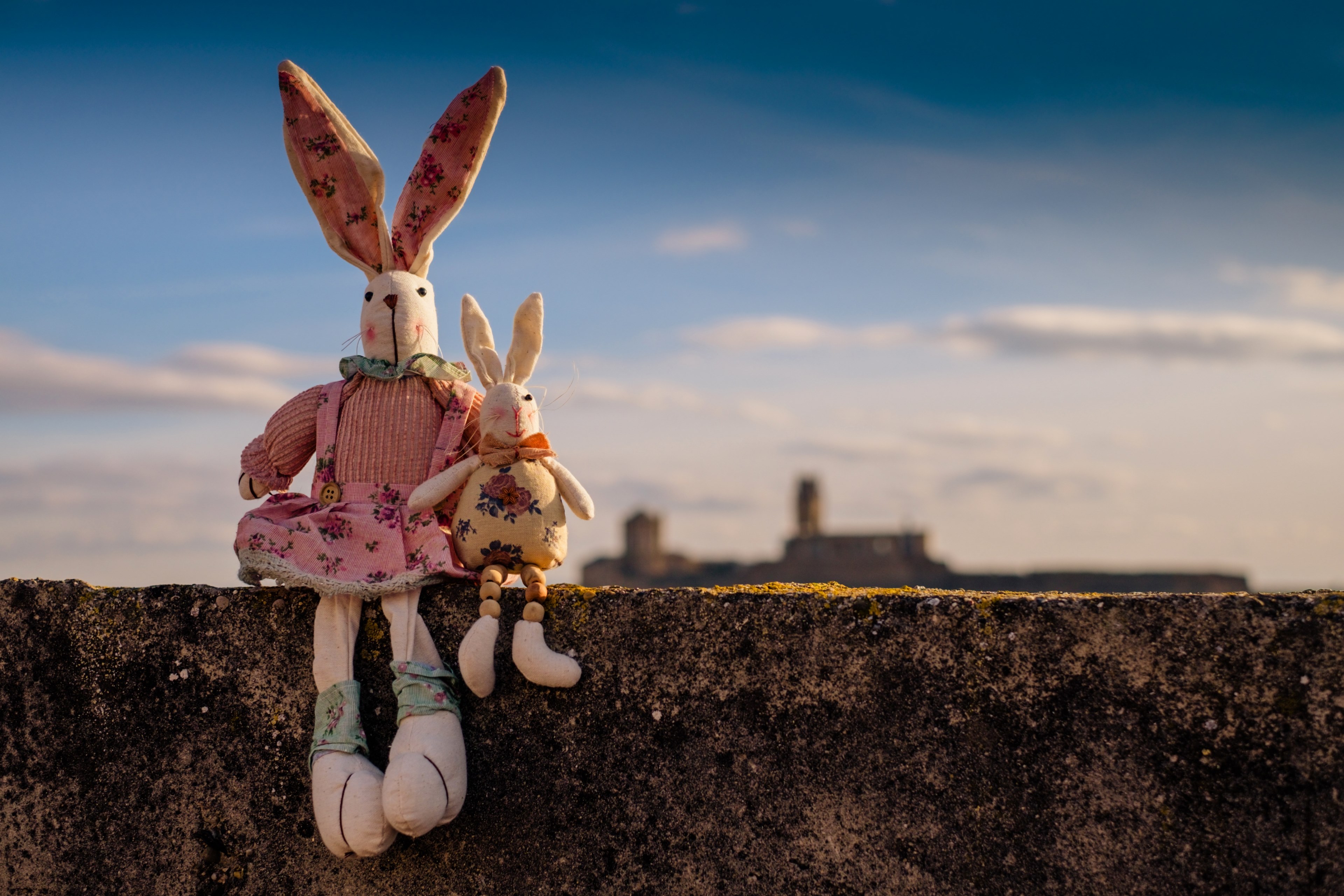rabbit animals pet children toys teddy sky 4k, HD Wallpaper