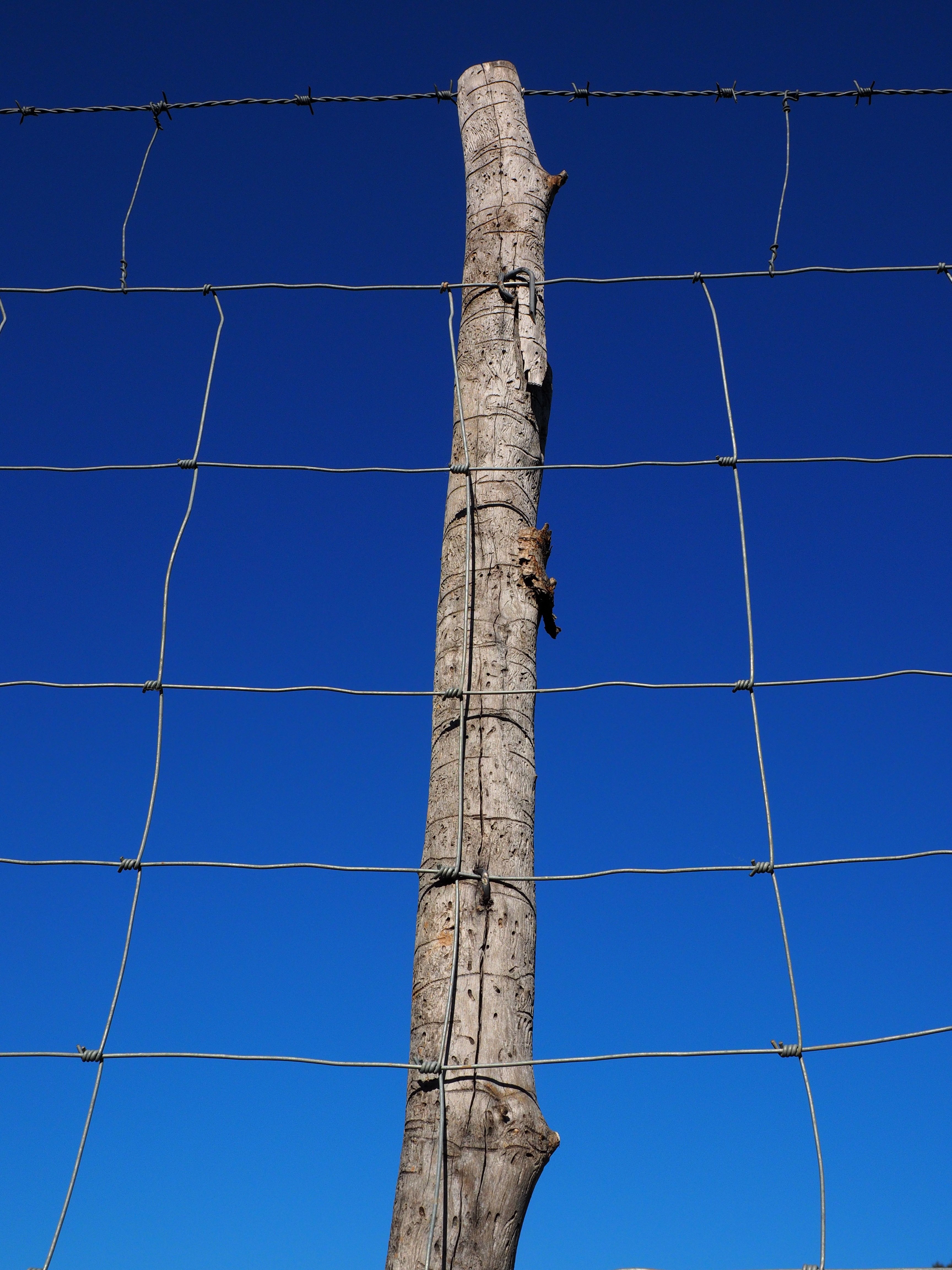 post pile fence wildzaun wildlife fence mesh 4k, Phone HD Wallpaper