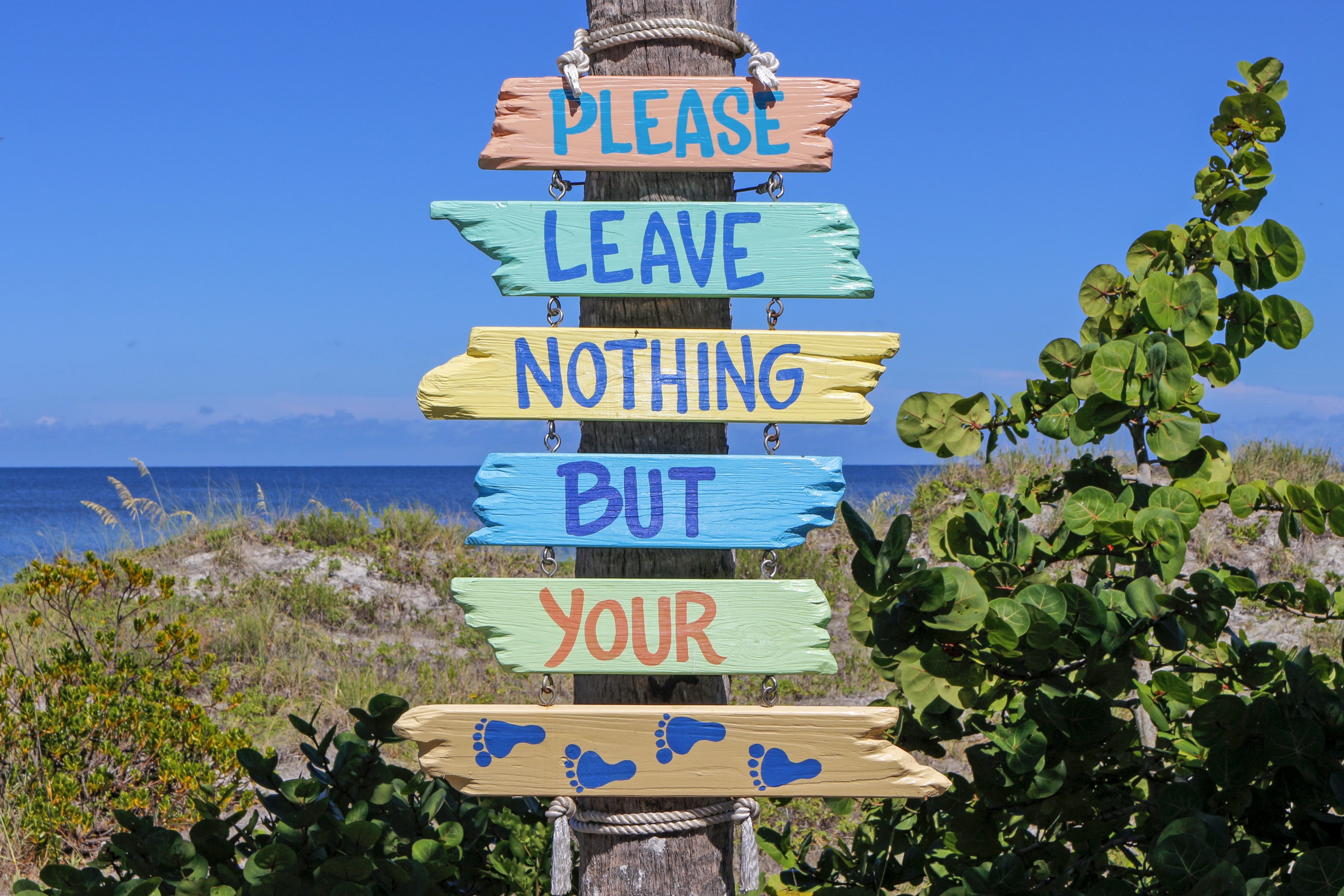 poster beach sign notice florida english warning 4k, HD Wallpaper