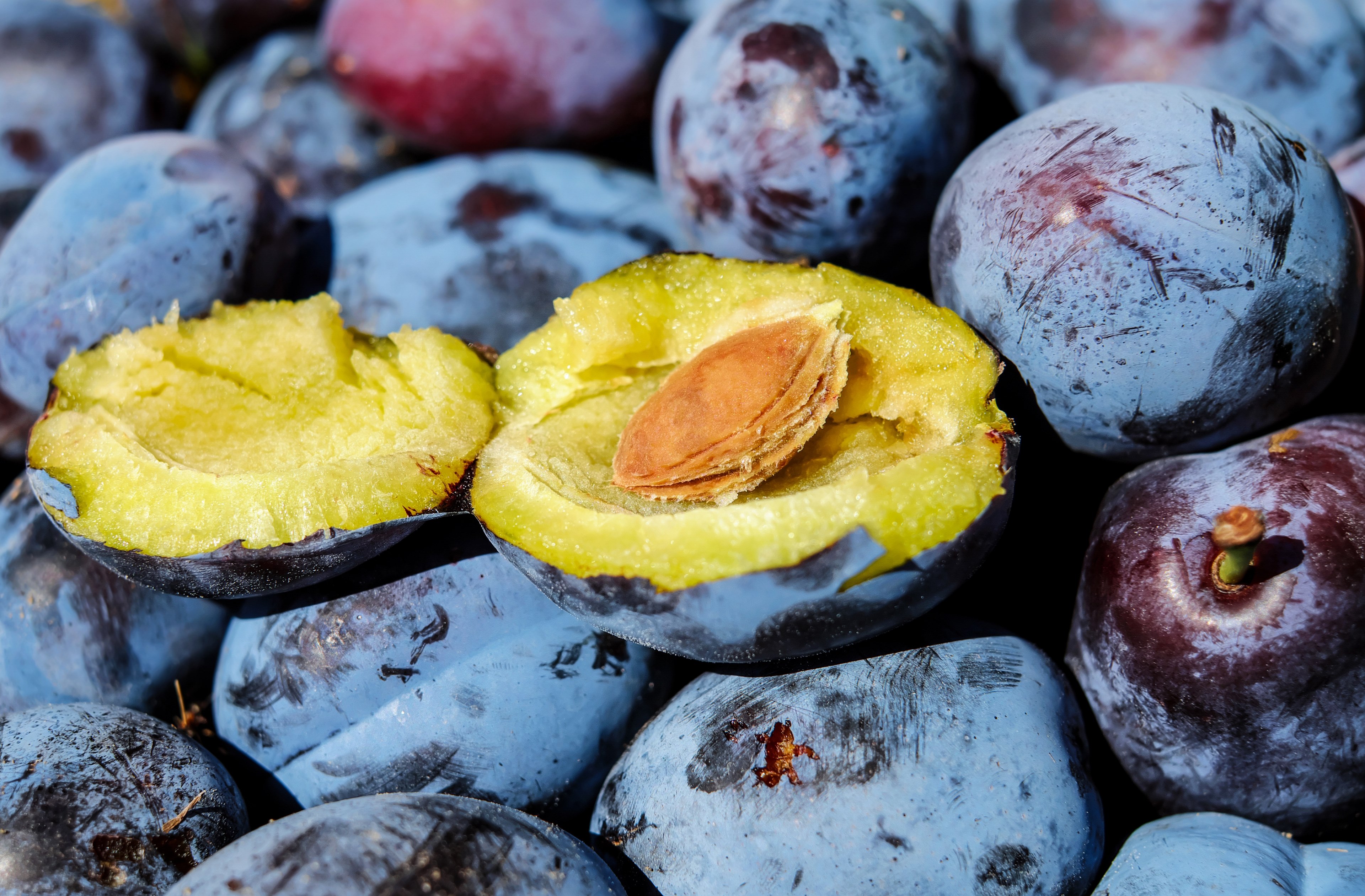 plum fruit cut in half stone plum stone 4k, HD Wallpaper