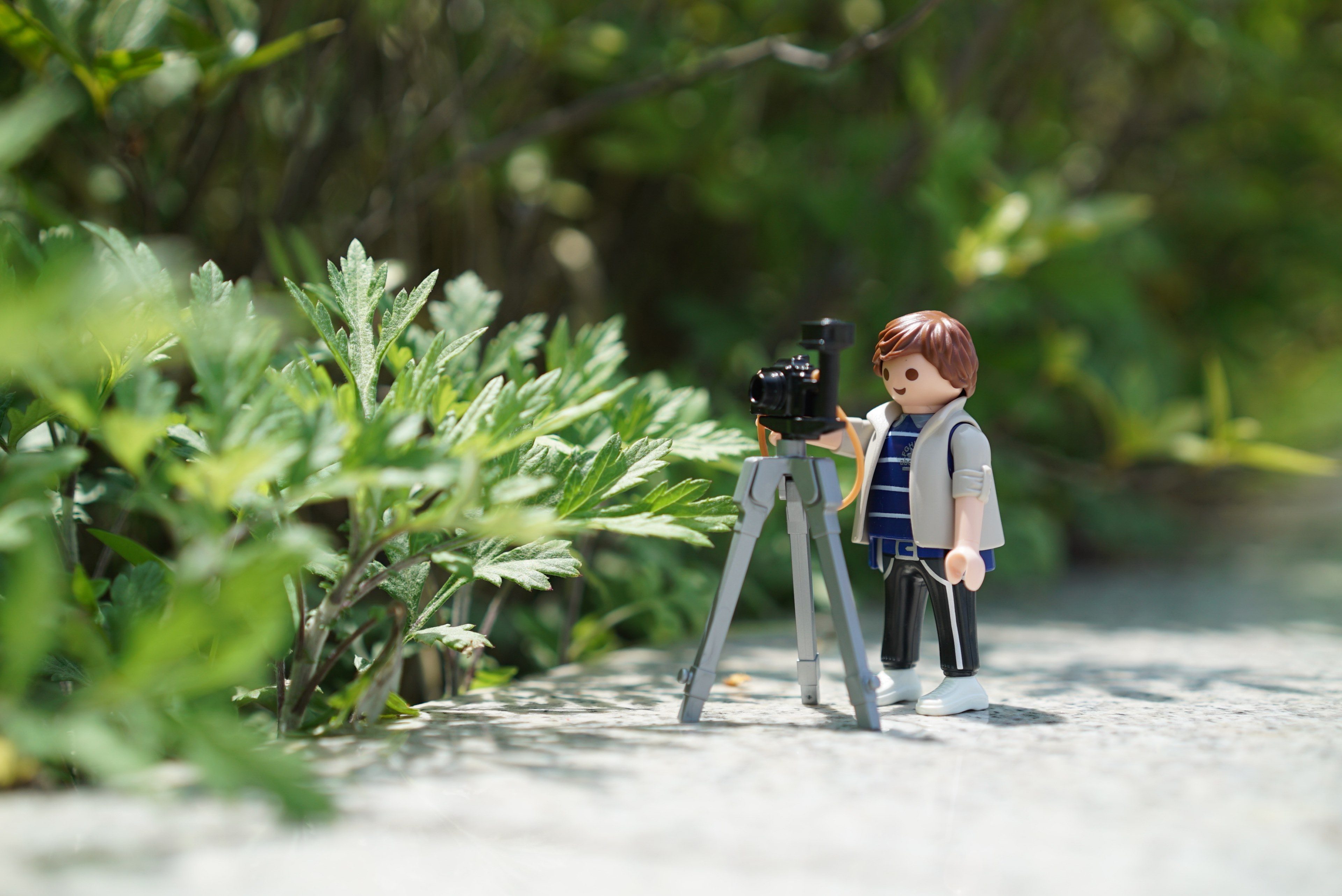 playmobil photography photographers photographer 4k, HD Wallpaper