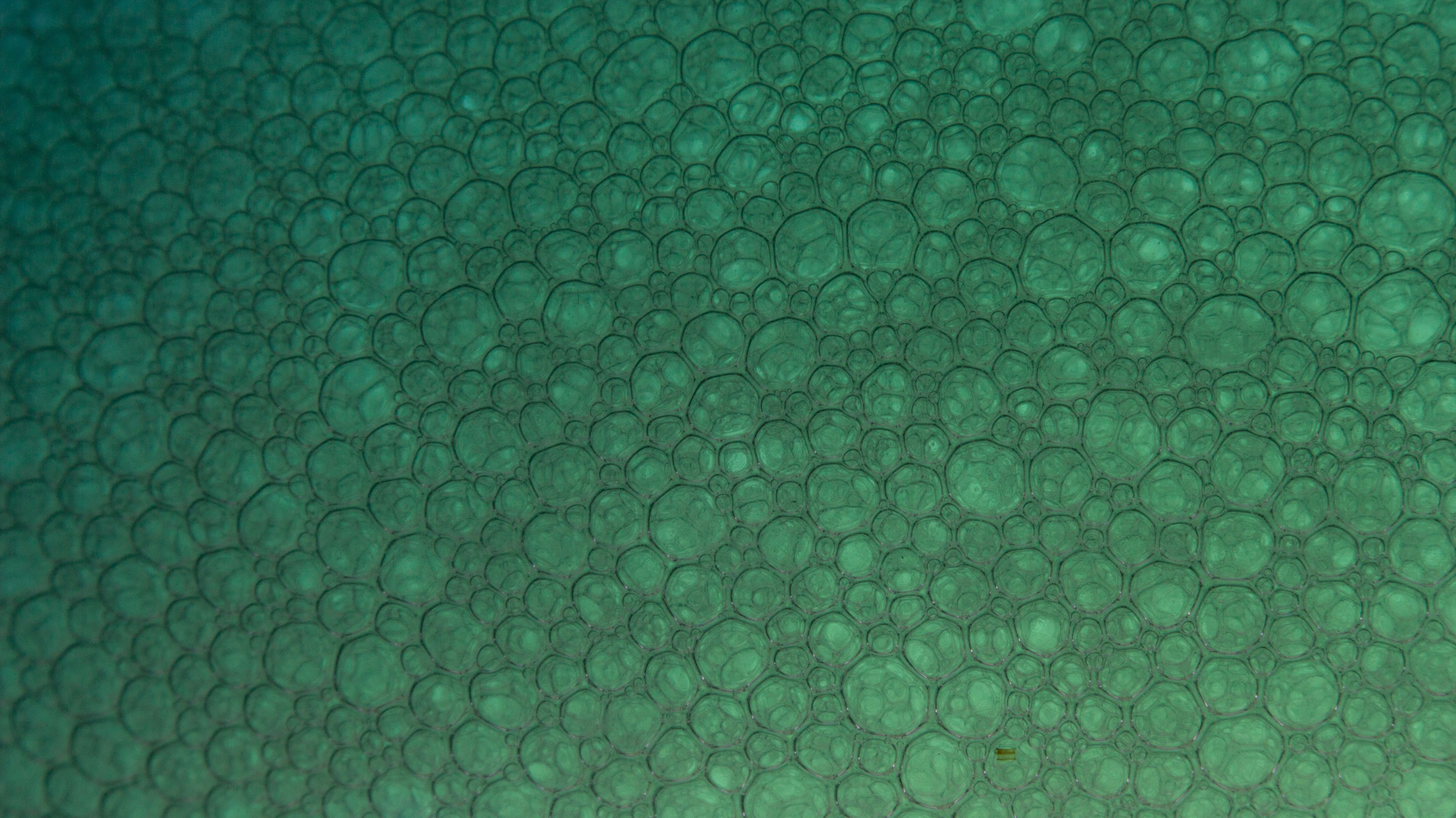 bubbles, particles, pattern, 4k, HD Wallpaper