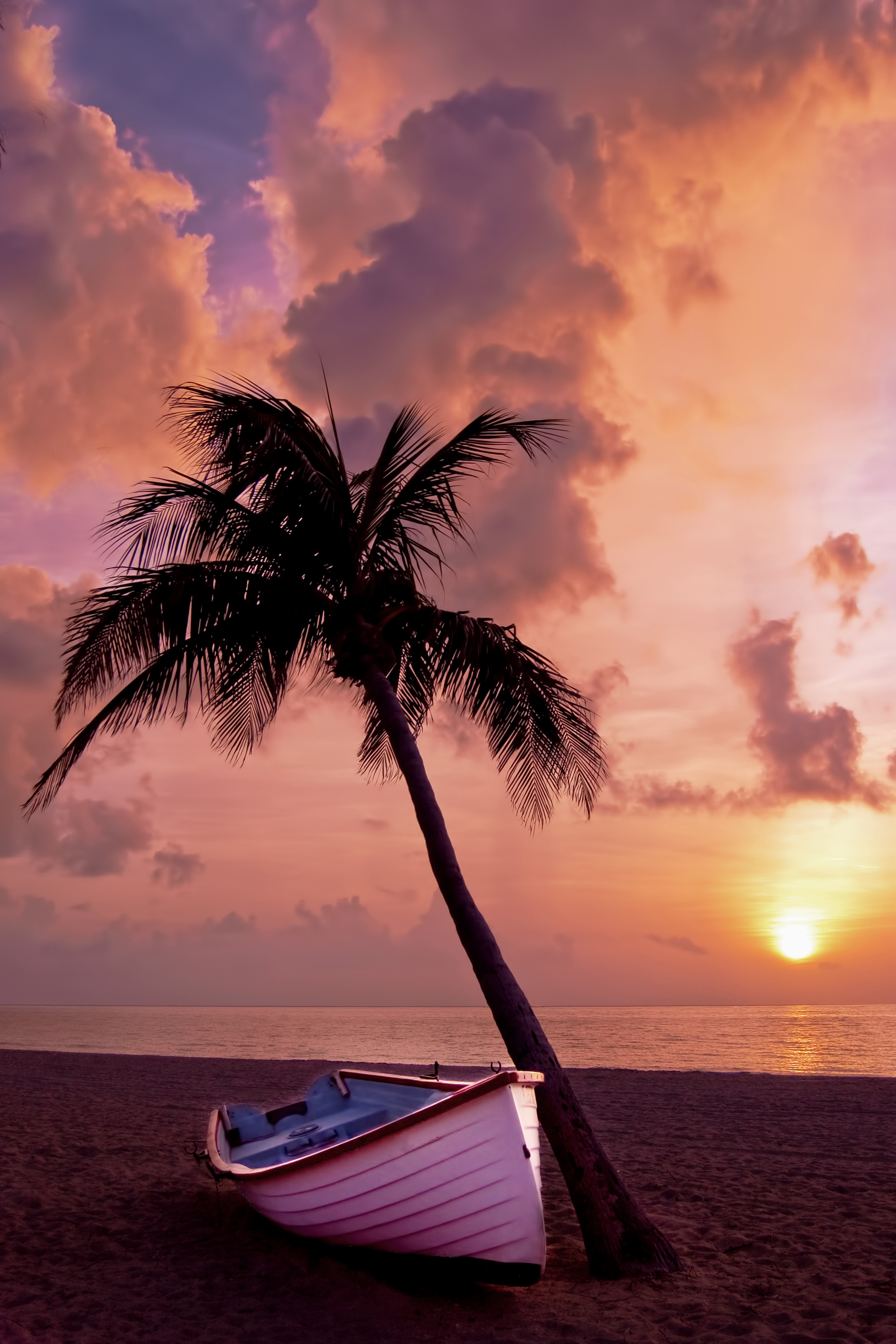 palm tree palm ocean summer vacation boat beach 4k, Phone HD Wallpaper