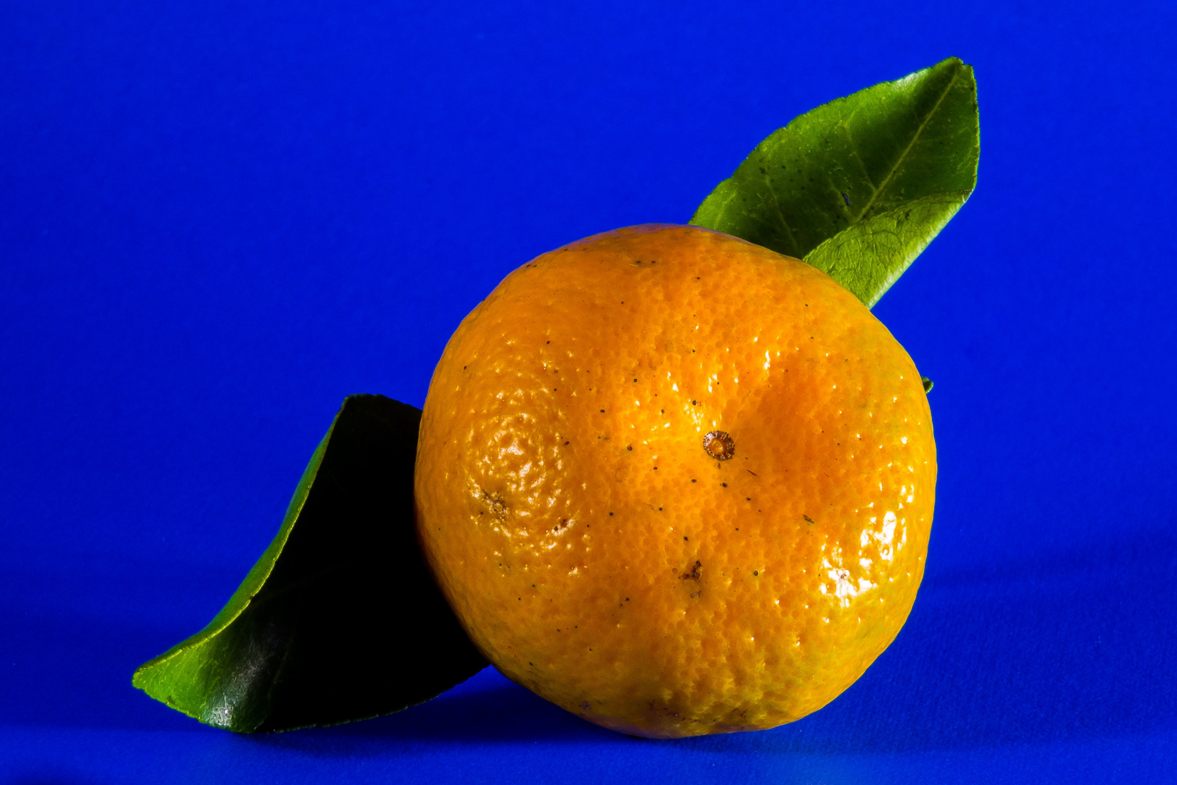 orange mandarin fruit citrus fruit 4k, HD Wallpaper