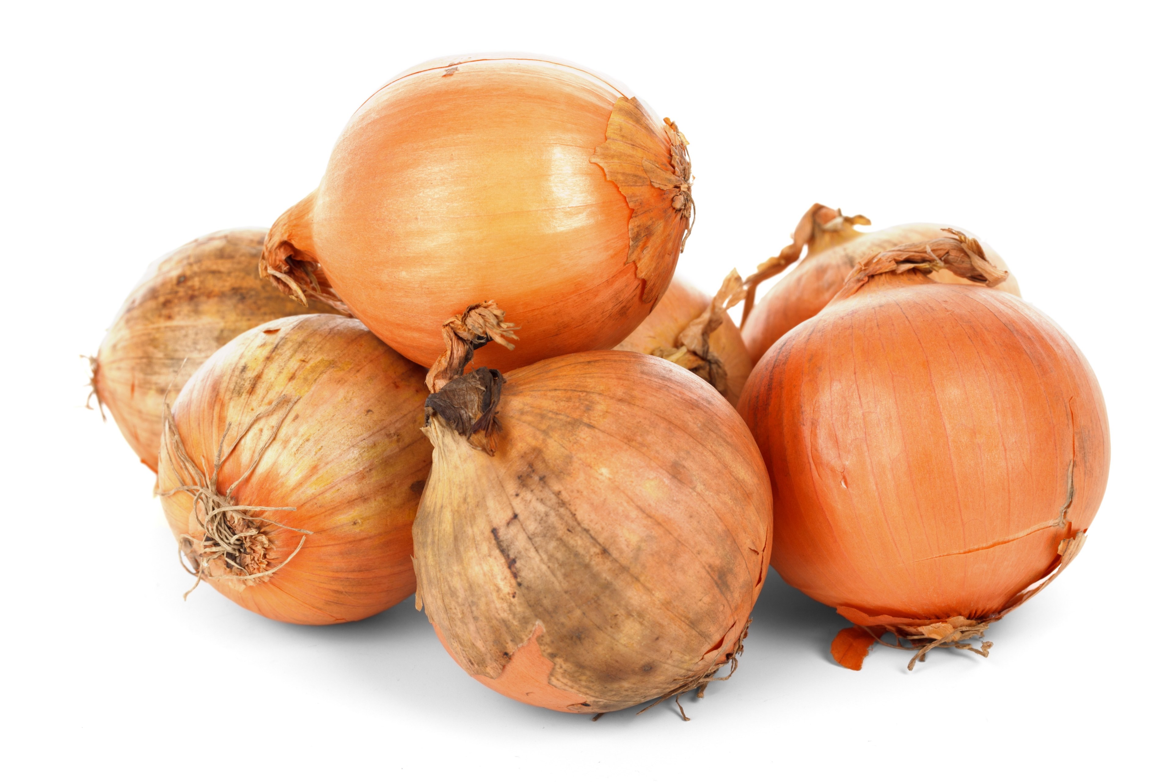 onion bulbs food fresh healthy ingredient isolated 4k, HD Wallpaper
