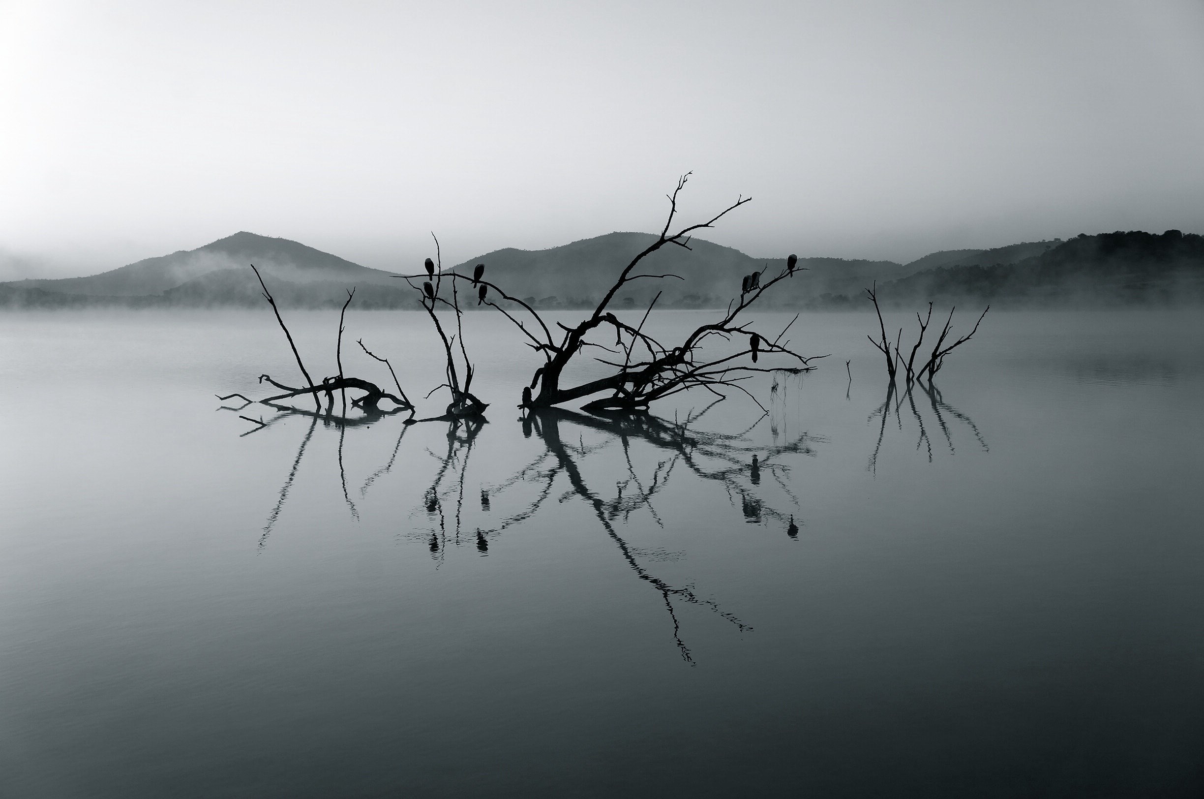 nature reserve africa lake silent rest water 4k, HD Wallpaper