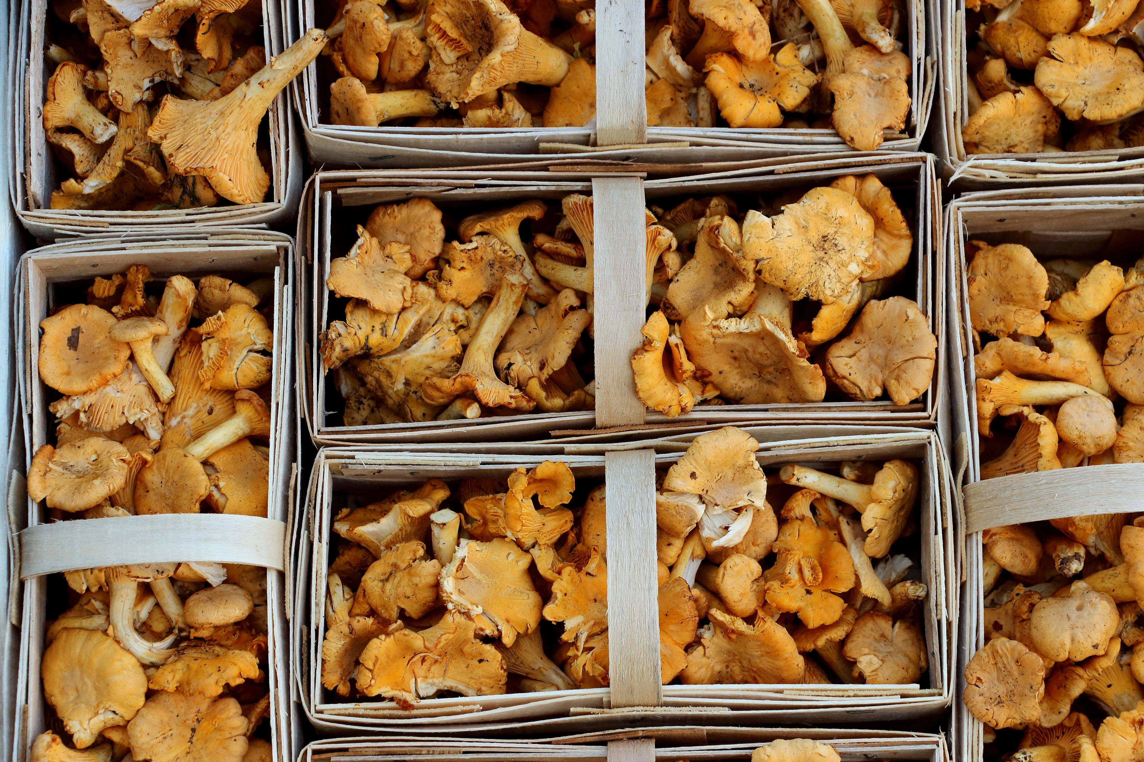 mushrooms chanterelles market food mushroom 4k, HD Wallpaper