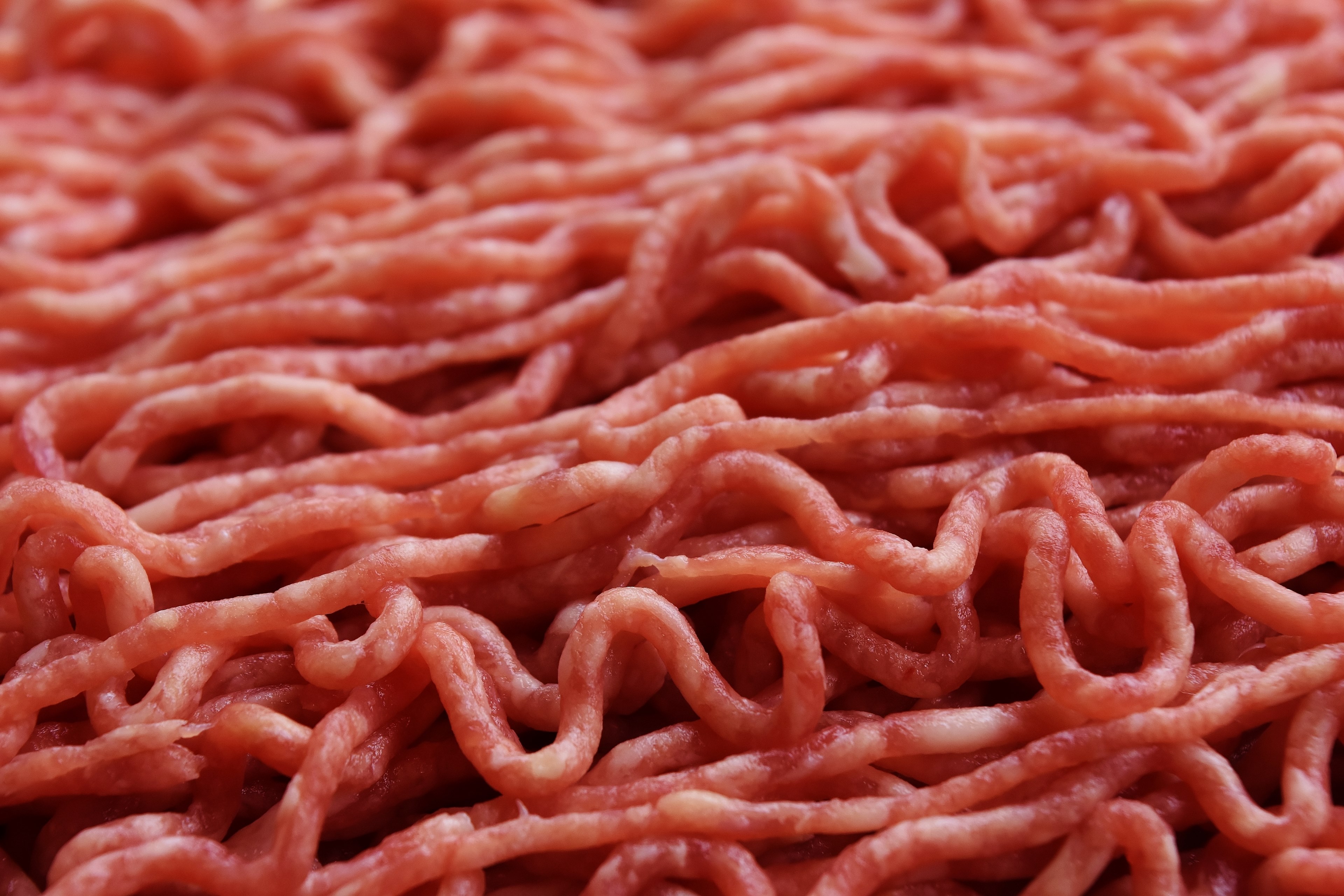 minced meat meat minced  meat raw eat food 4k, HD Wallpaper
