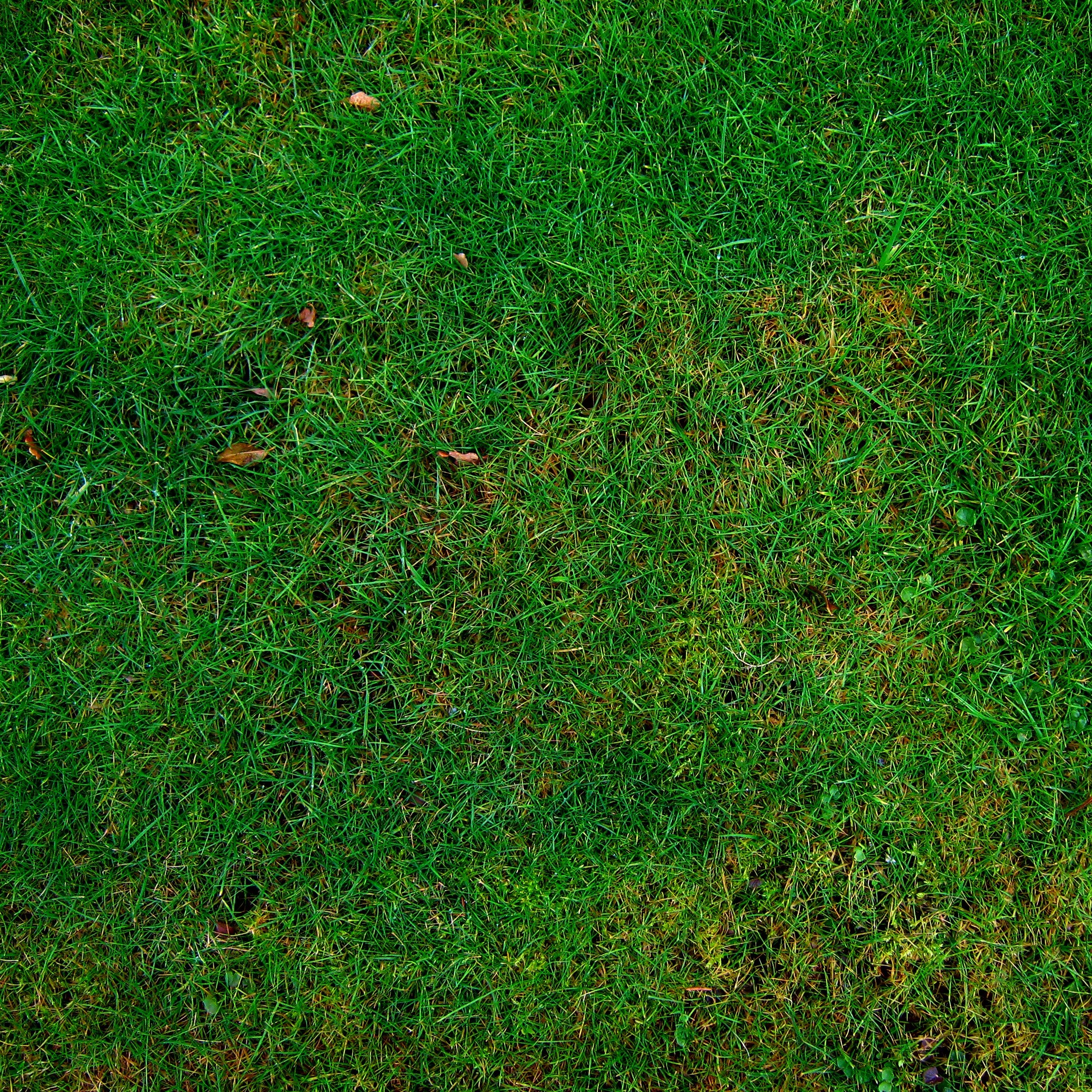 meadow grass structure texture halme green 4k, Phone HD Wallpaper