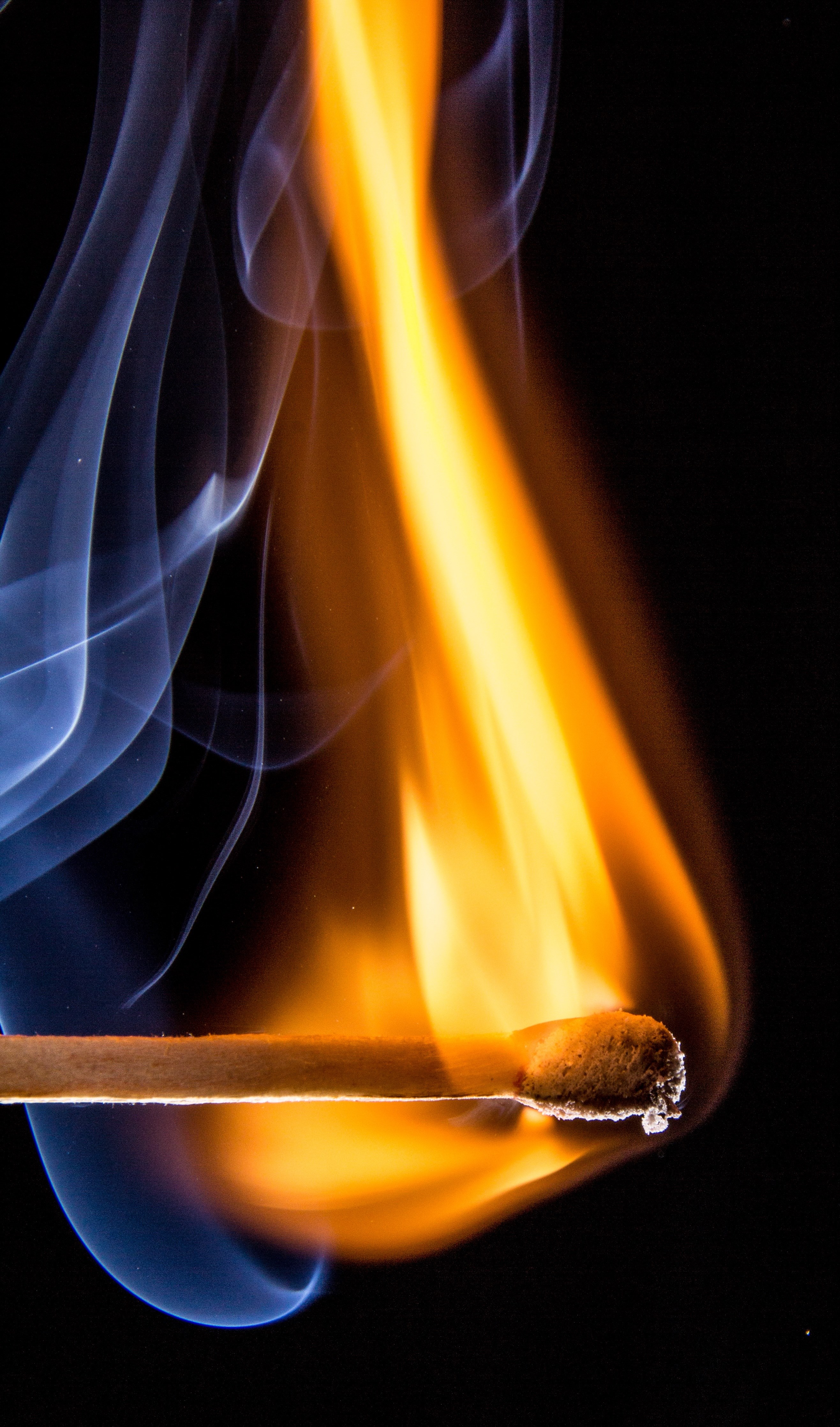 match match head sticks matches burn flame fire 4k, Phone HD Wallpaper
