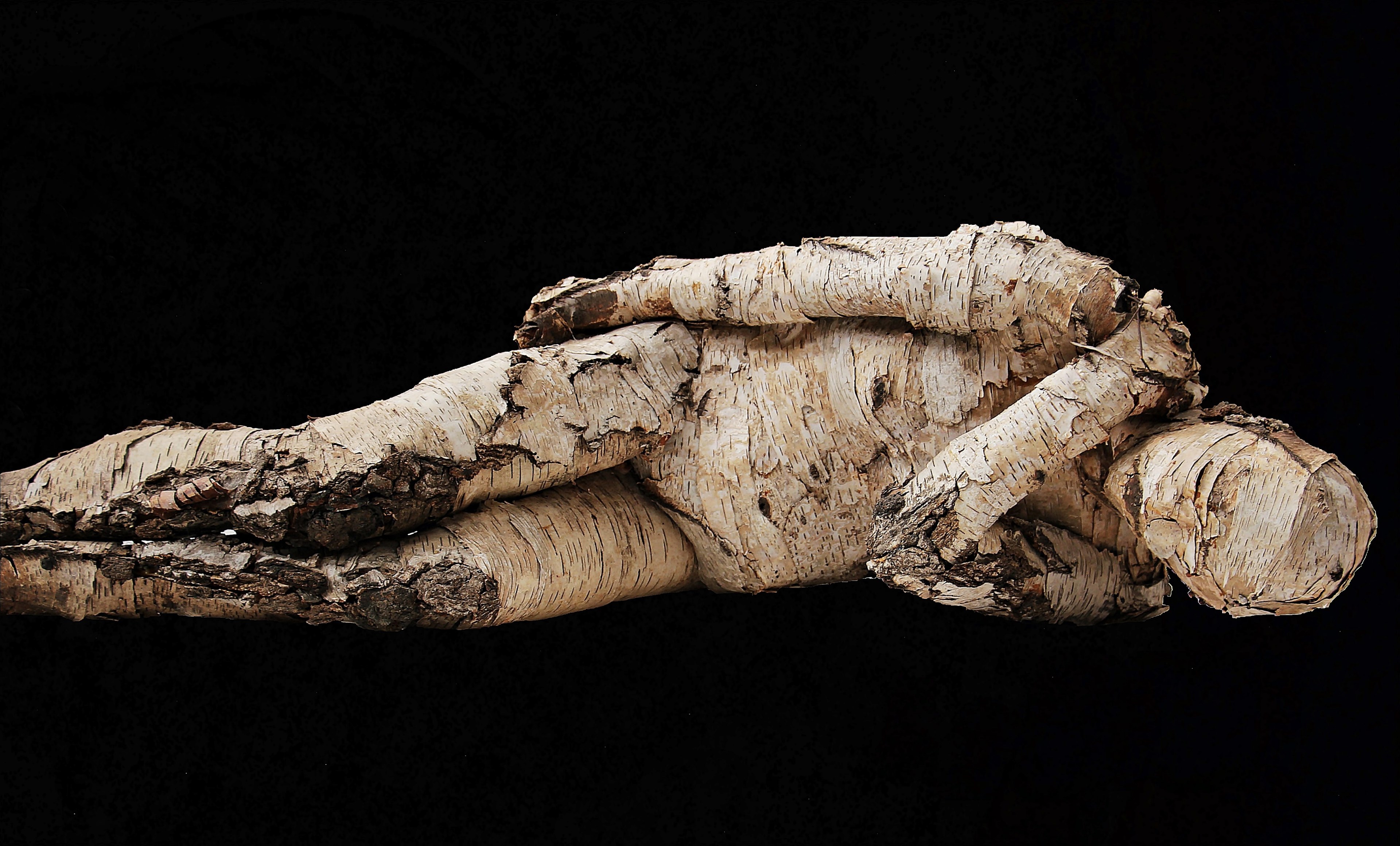 man tree man wood bierke artwork art concerns 4k, HD Wallpaper
