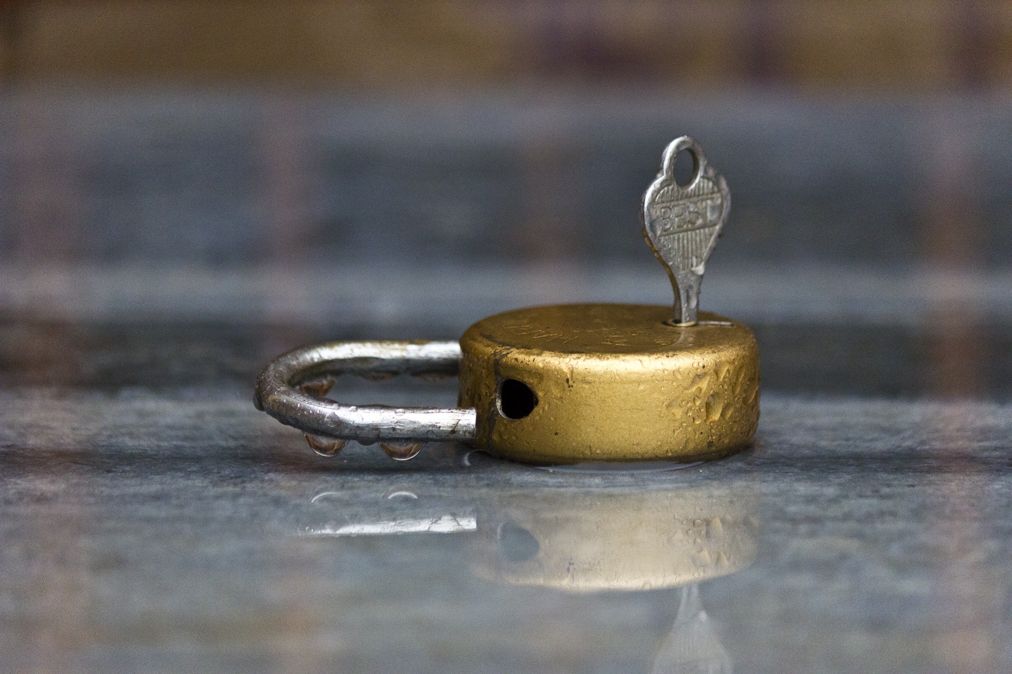 lock rain drop after rain drops rain macro 4k, HD Wallpaper