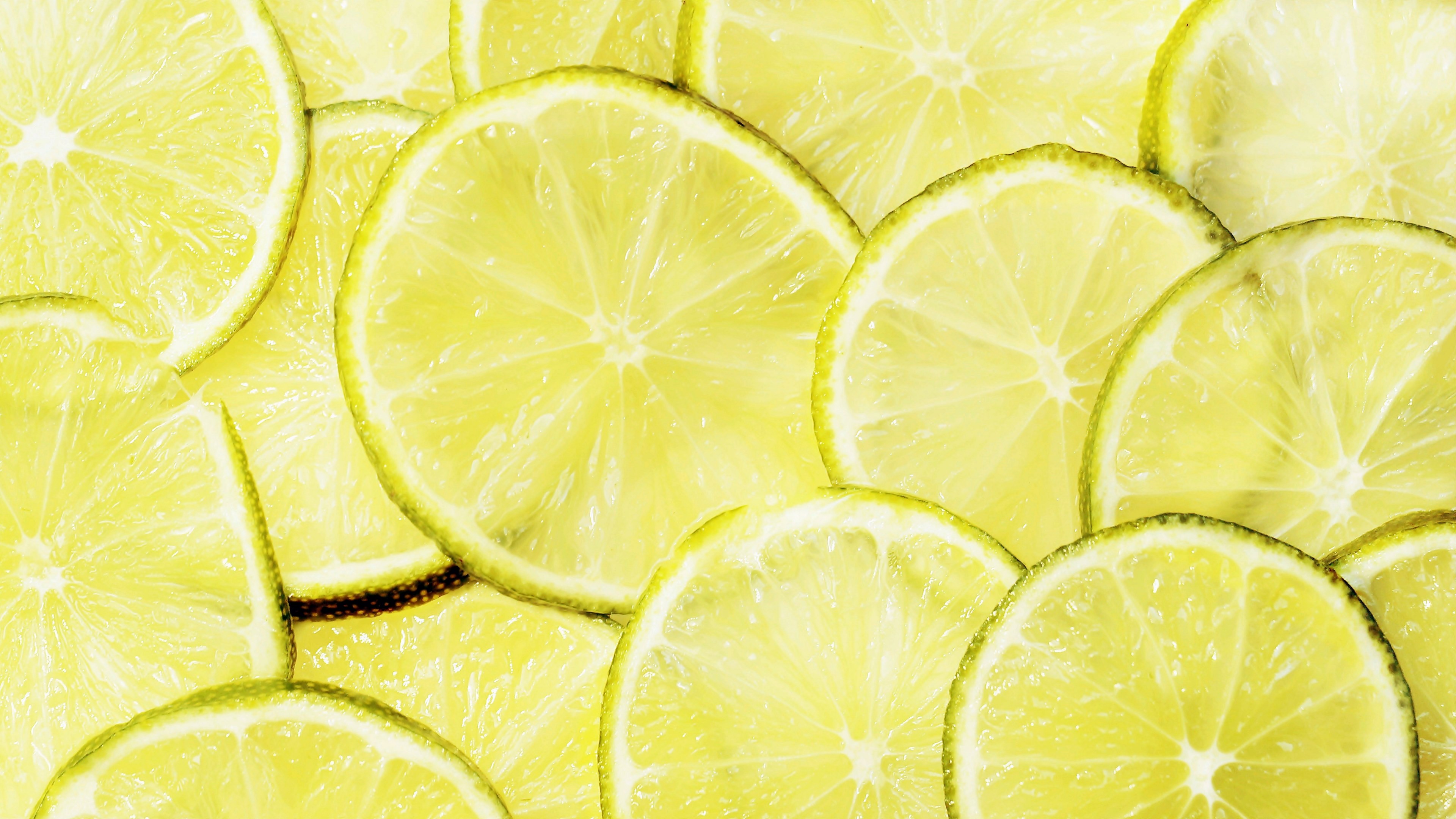 lime lime slices citrus fruit citrus fruit slices 4k, HD Wallpaper