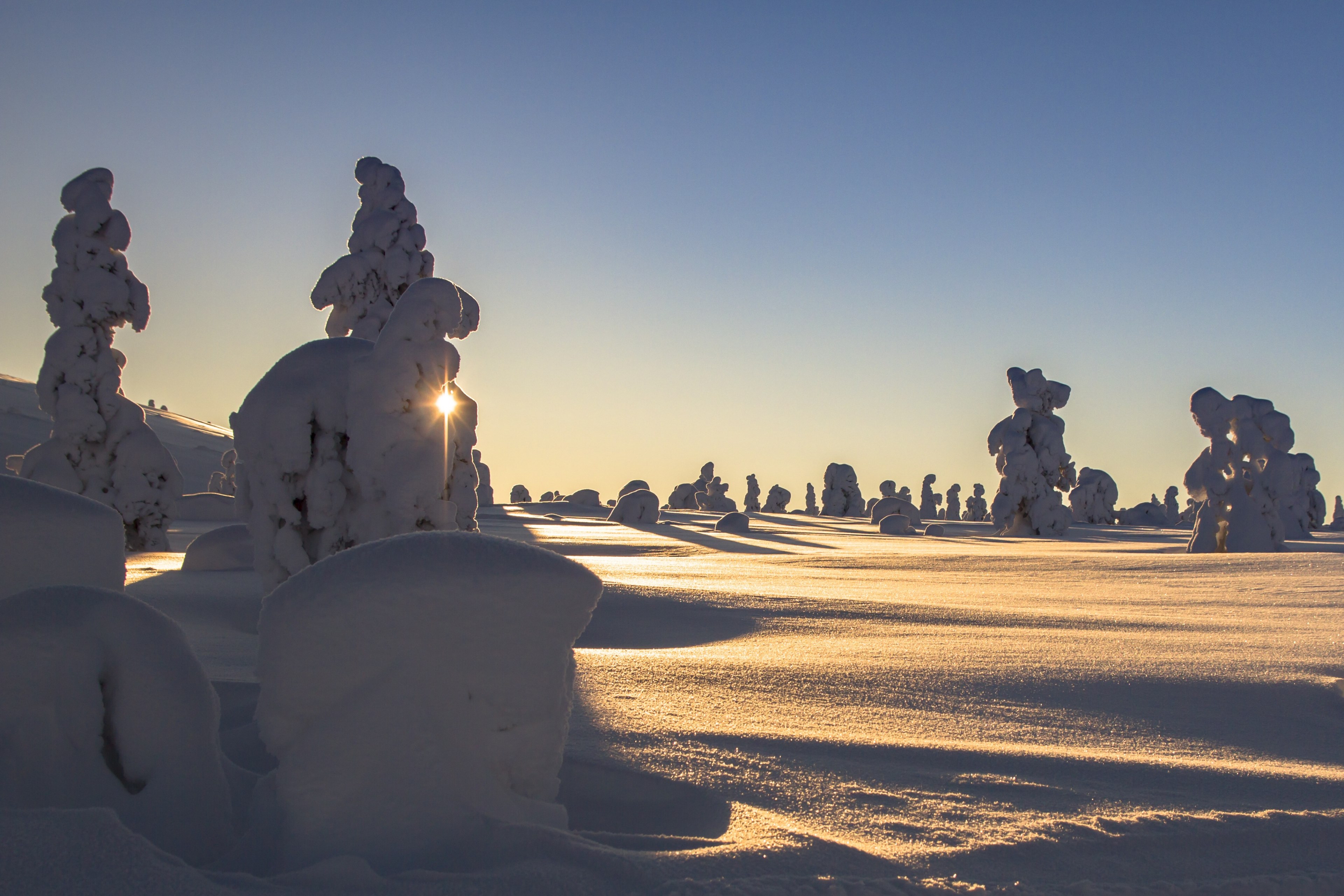 lapland winter jeris snow landscape wintry 4k, HD Wallpaper