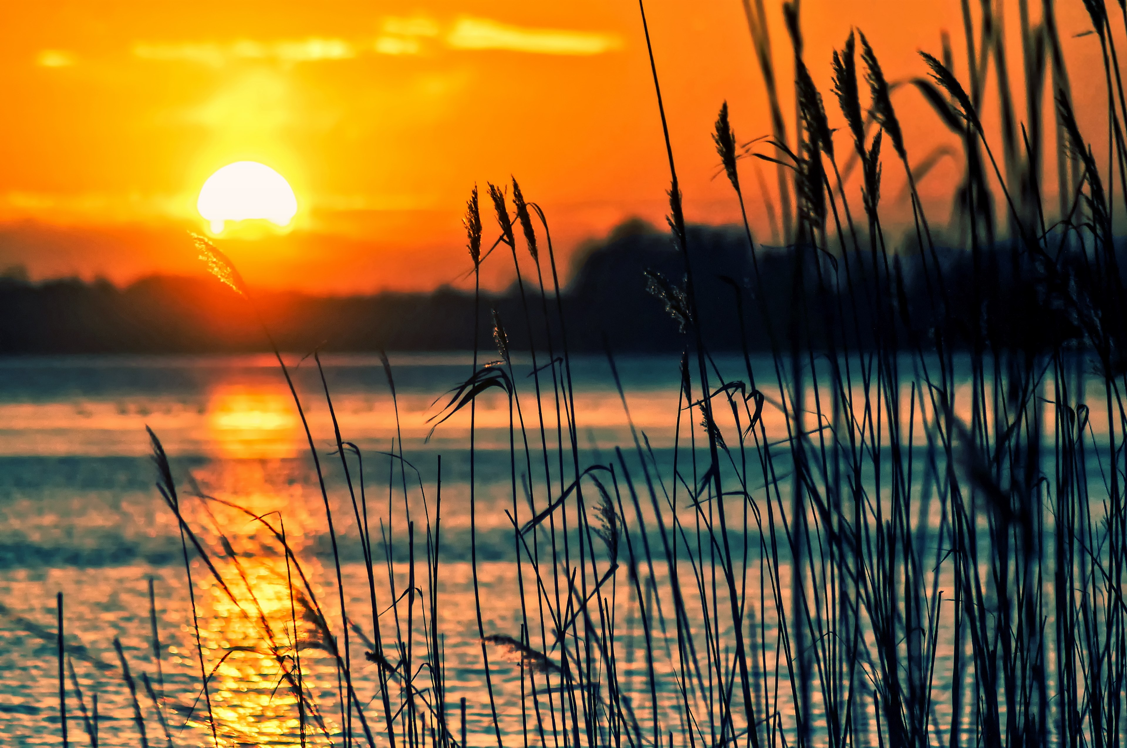 lake reeds sunset landscape nature scenery beach 4k, HD Wallpaper