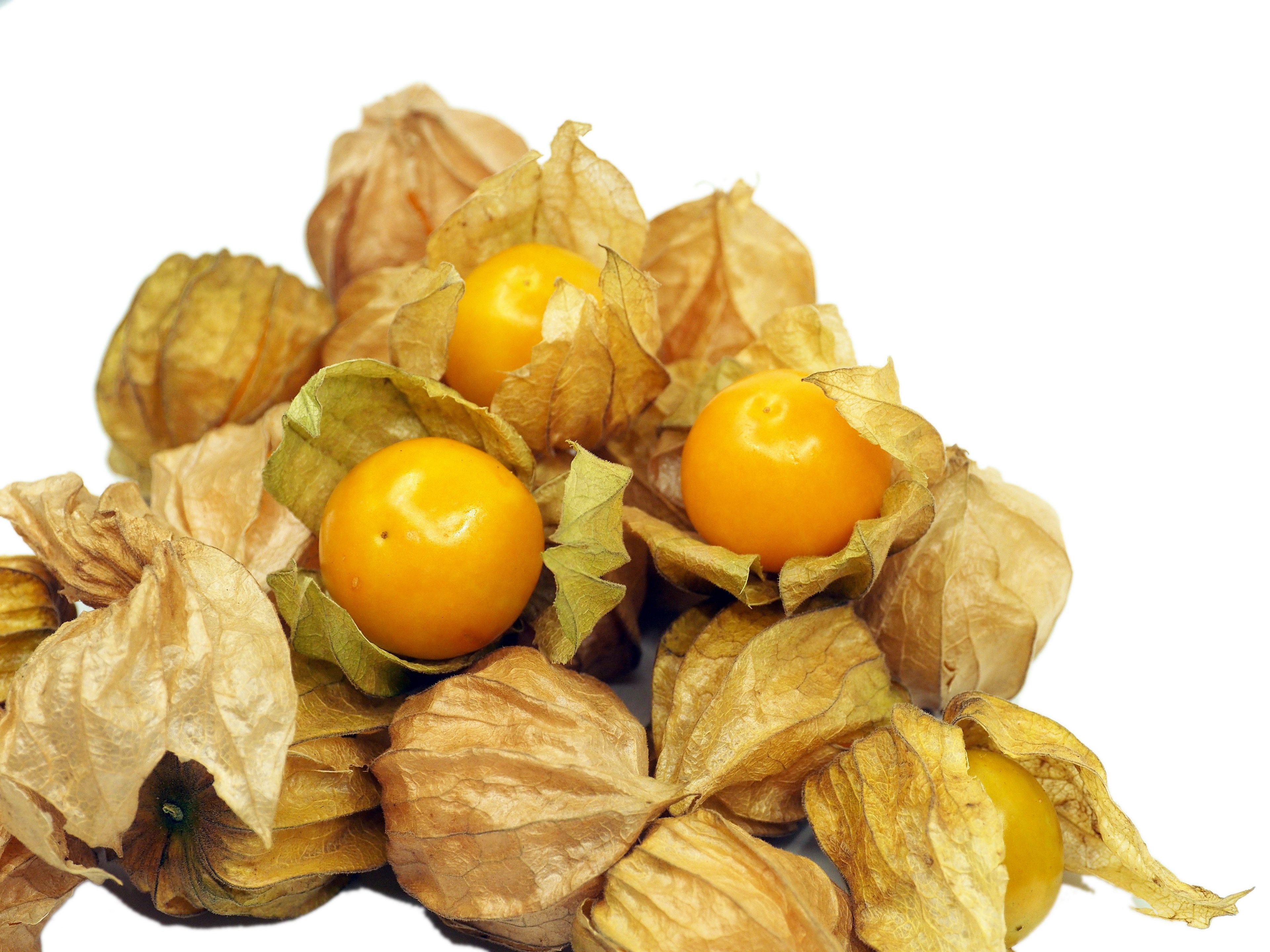 kut berry fruit health orange berry nature 4k, HD Wallpaper