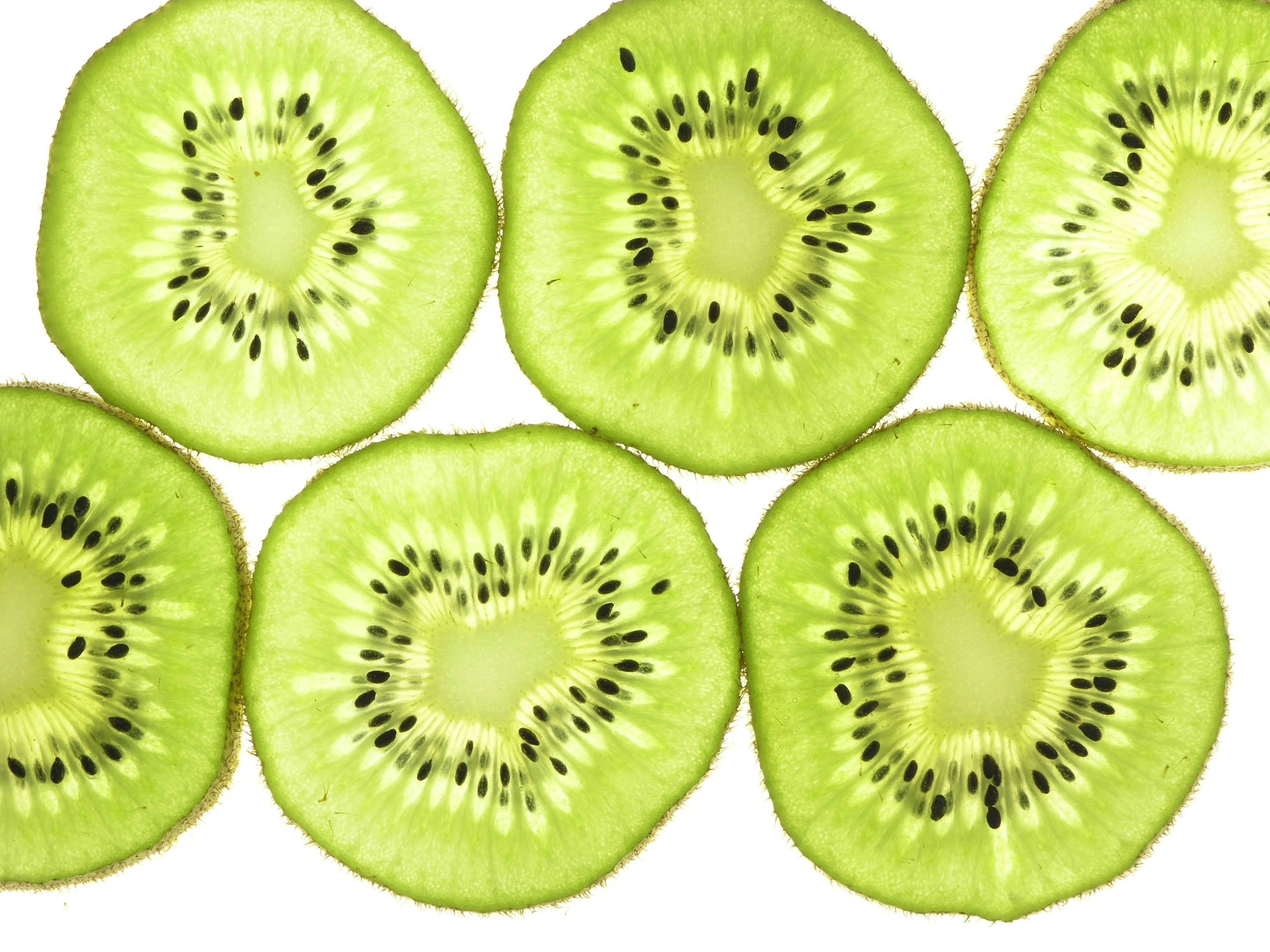 kiwi fruit slices thin back lit closeup food kiwi 4k, HD Wallpaper
