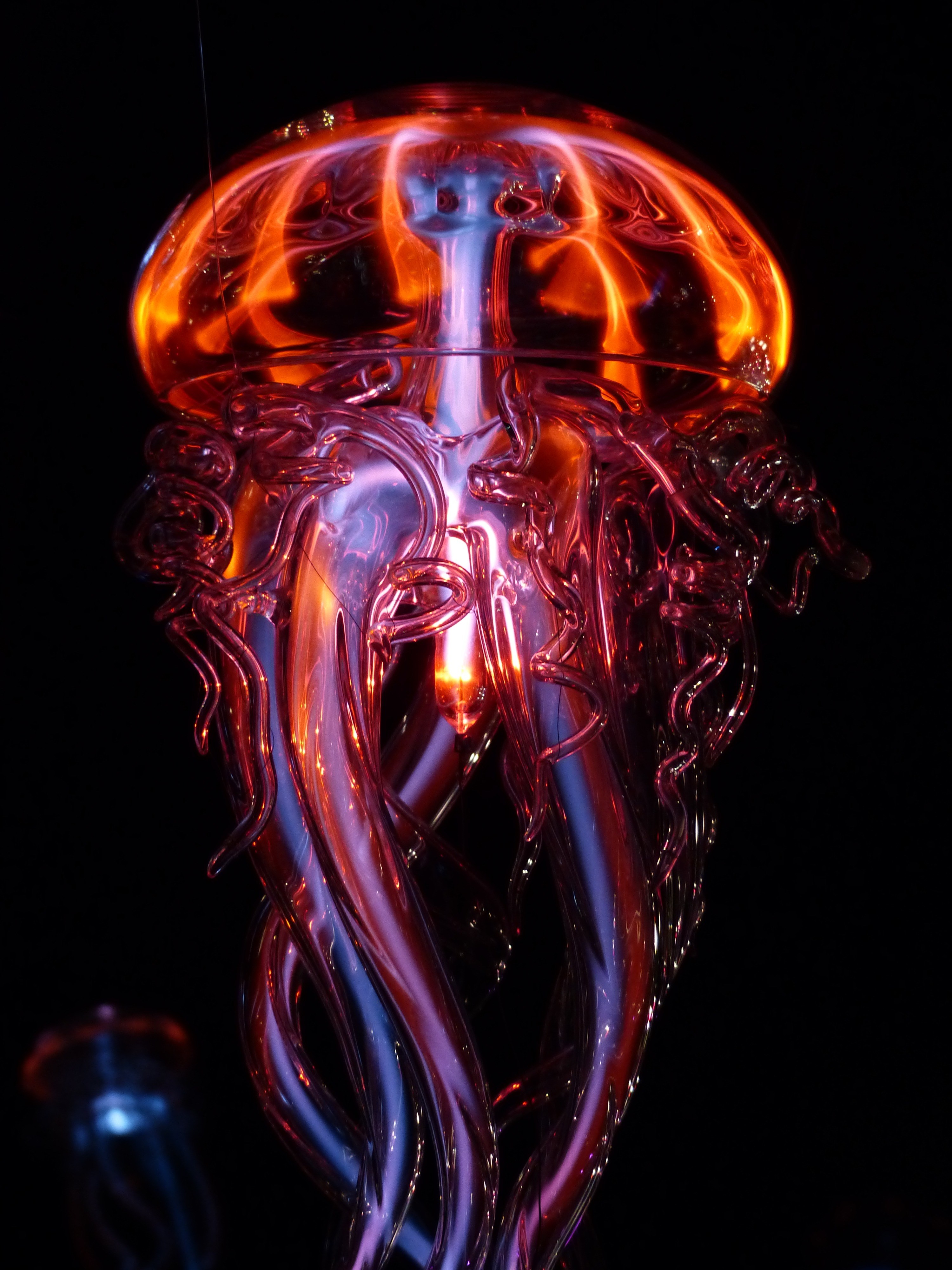 jellyfish luminous jellyfish light light phenomenon 4k, Phone HD Wallpaper
