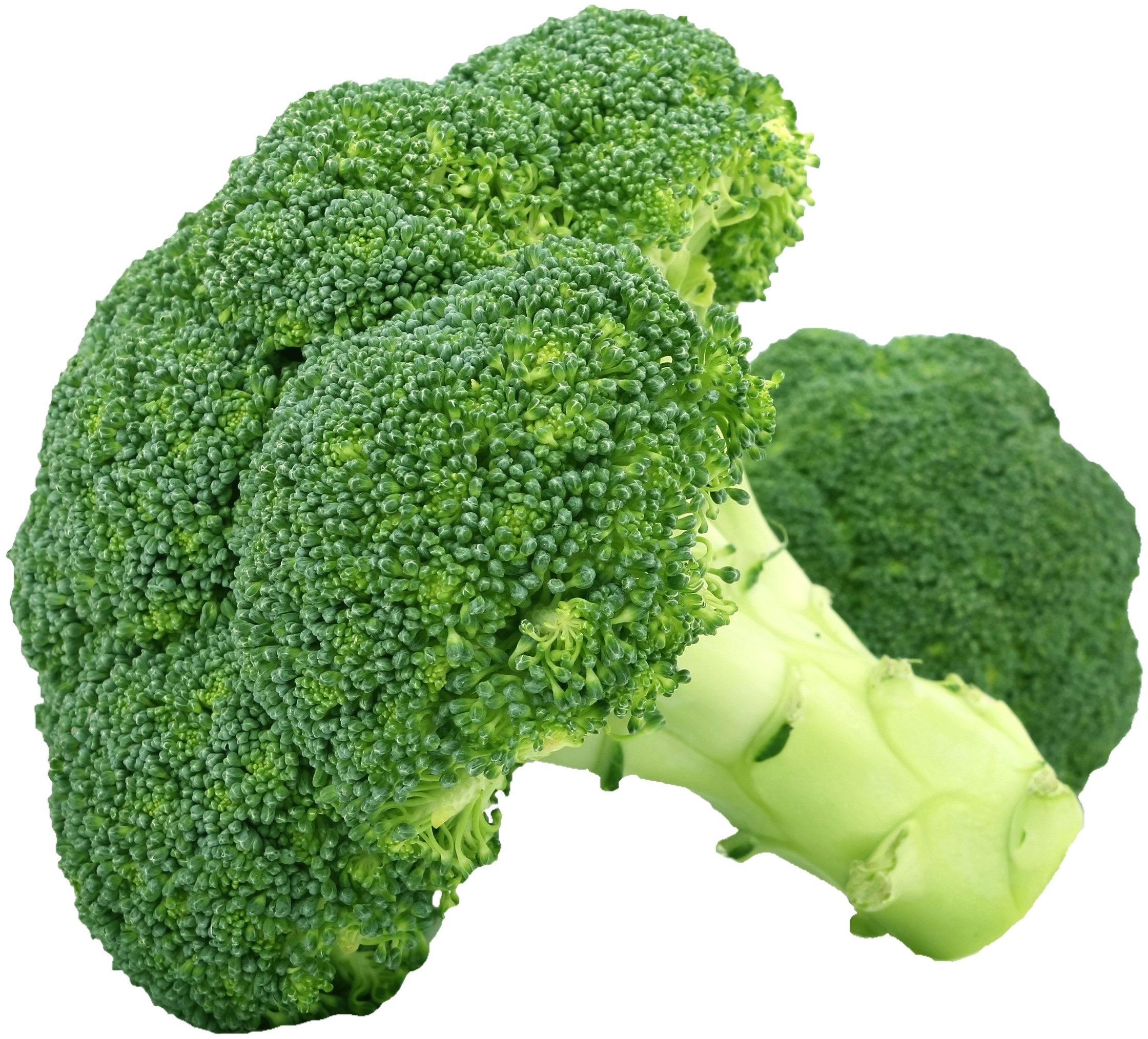 isolated broccoli vegetables healthy food green 4k, HD Wallpaper