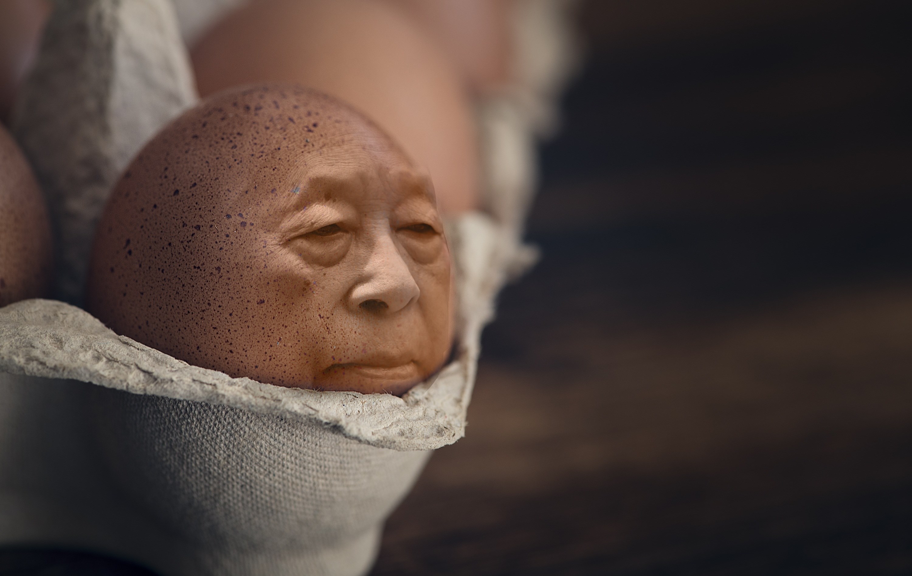 iman egg egg box face chicken eggs food easter 4k, HD Wallpaper