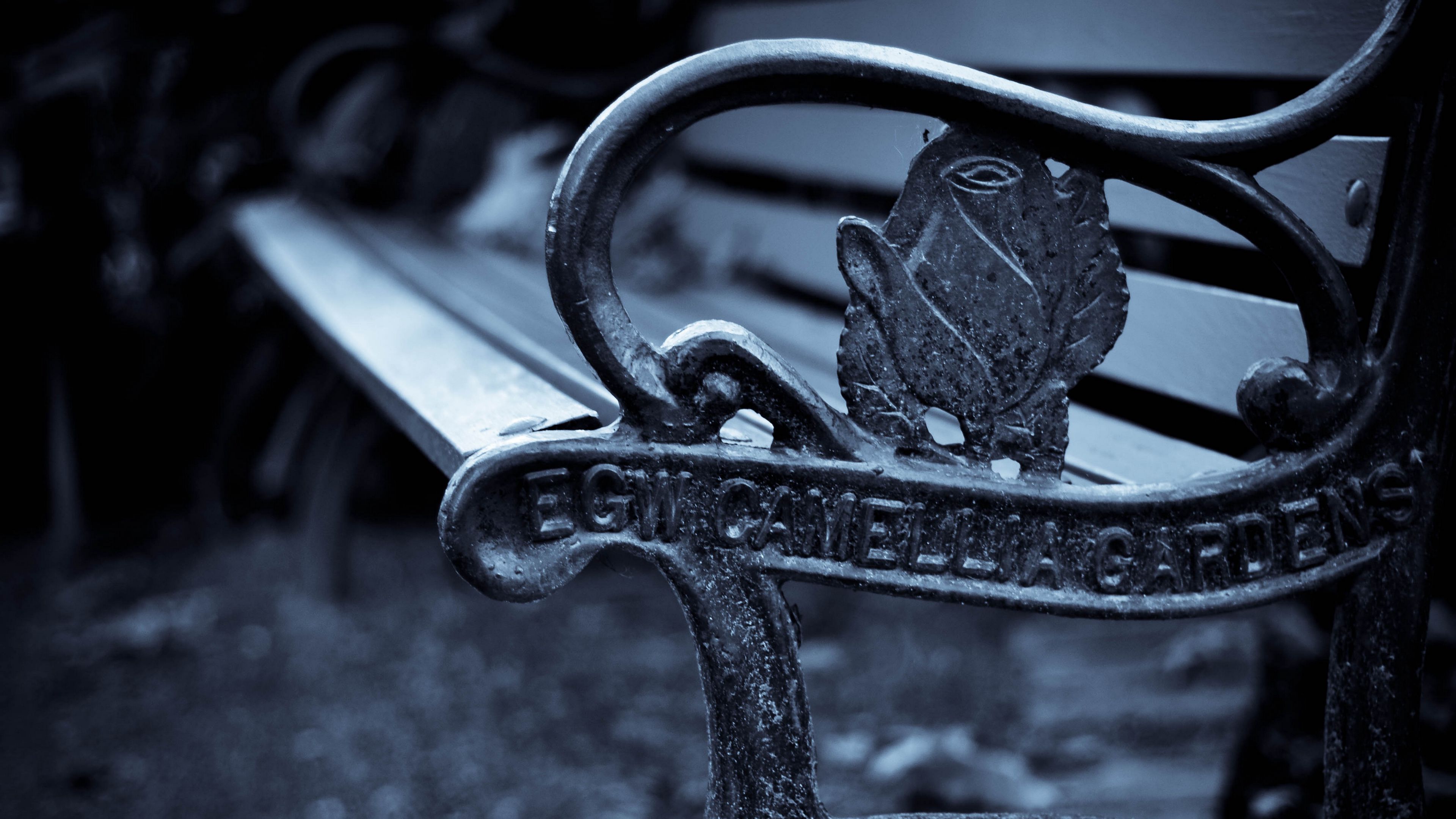 bench, metal, iron, wood, 4k, HD Wallpaper
