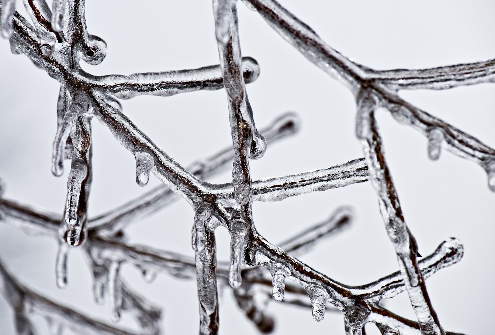 ice winter weather cold cool frozen icy frost 4k, HD Wallpaper