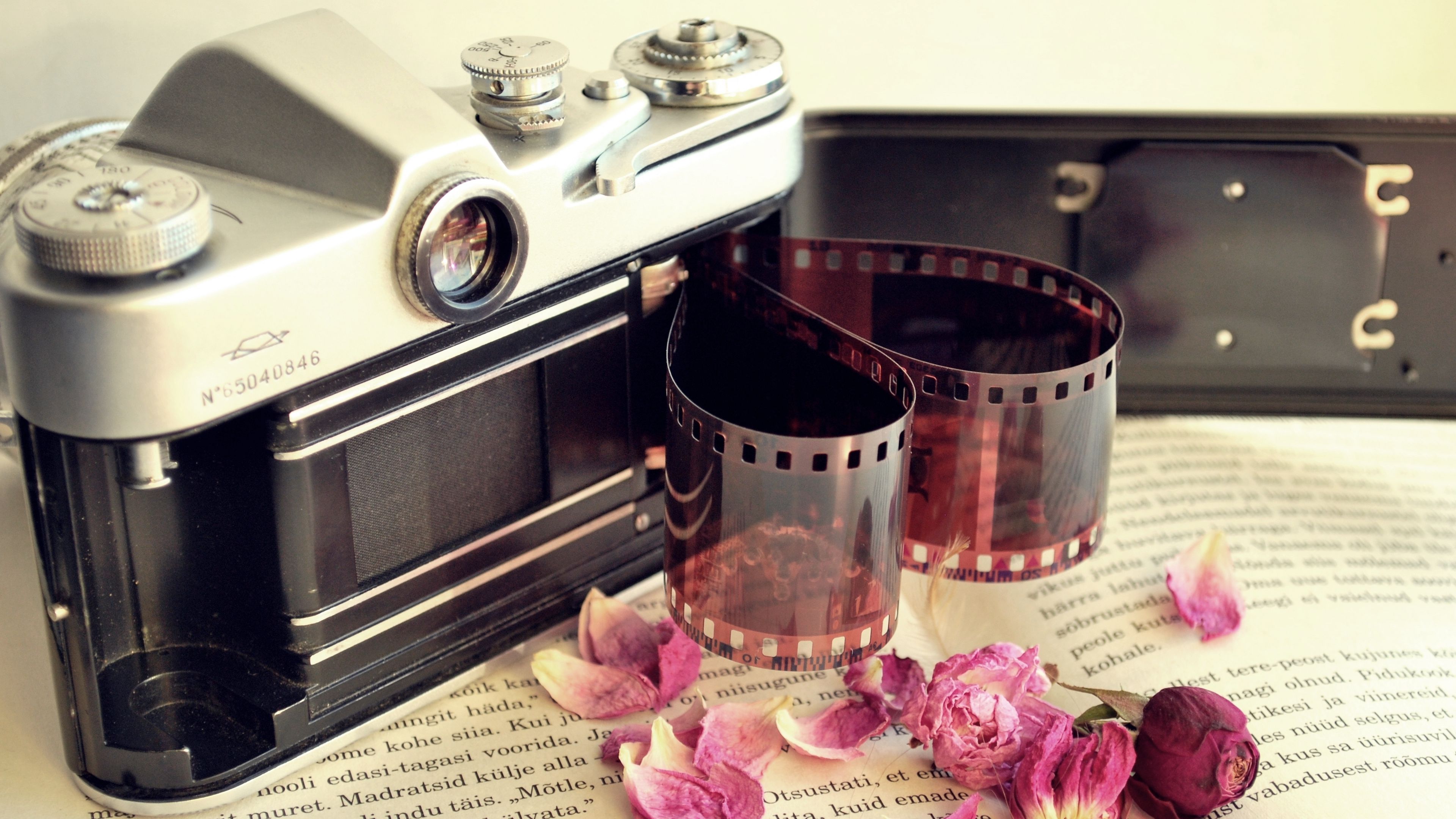 camera, film, books, flowers, dry, petals, 4k, HD Wallpaper