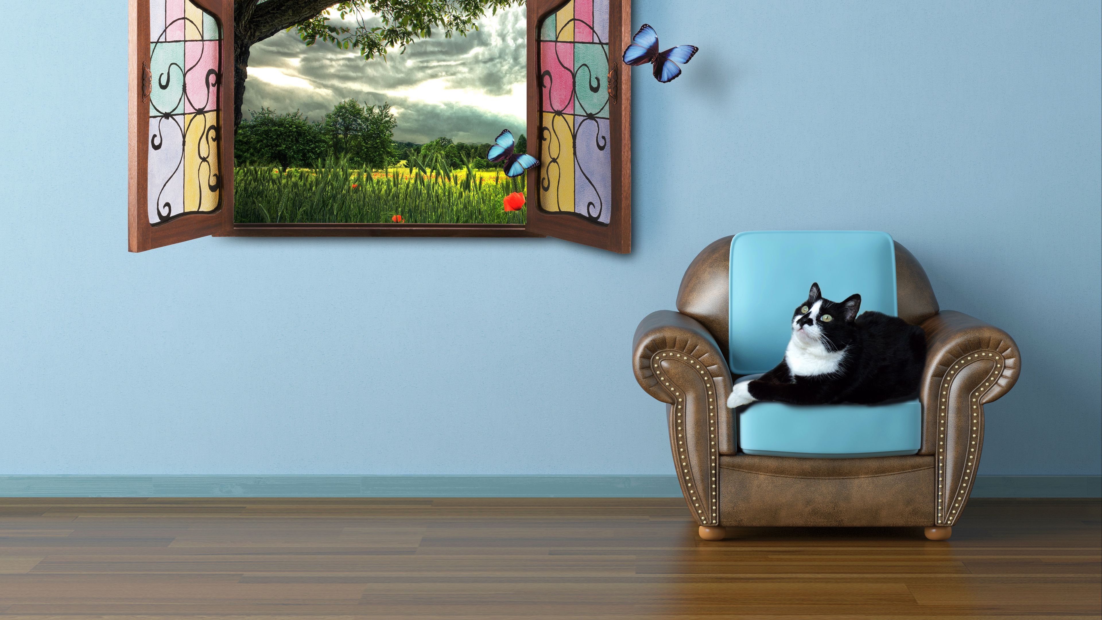 cat, summer, window, watching, fairy tale, butterfly, 4k, HD Wallpaper