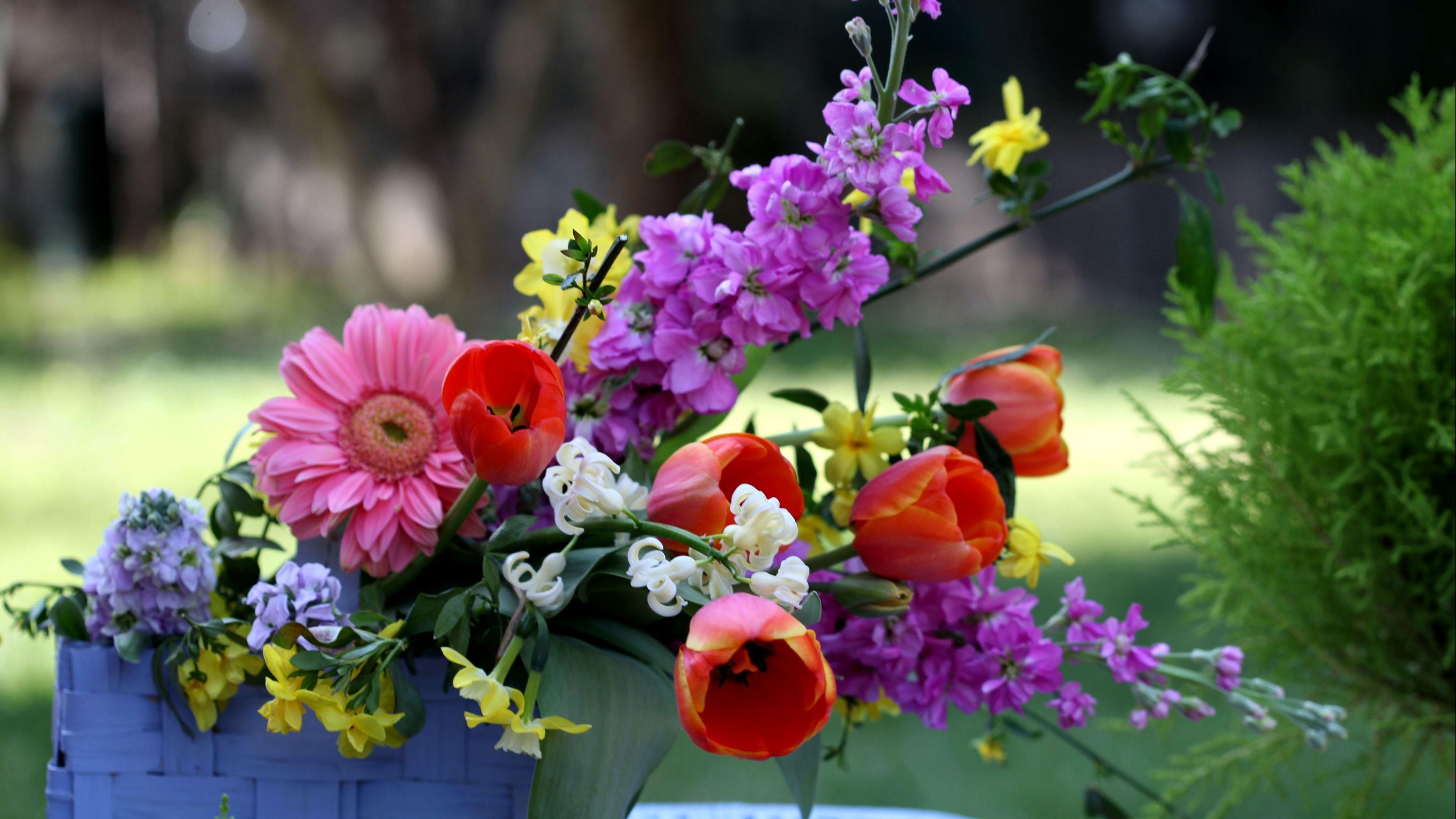 tulips, gerberas, lucius, basket, composition, 4k, HD Wallpaper