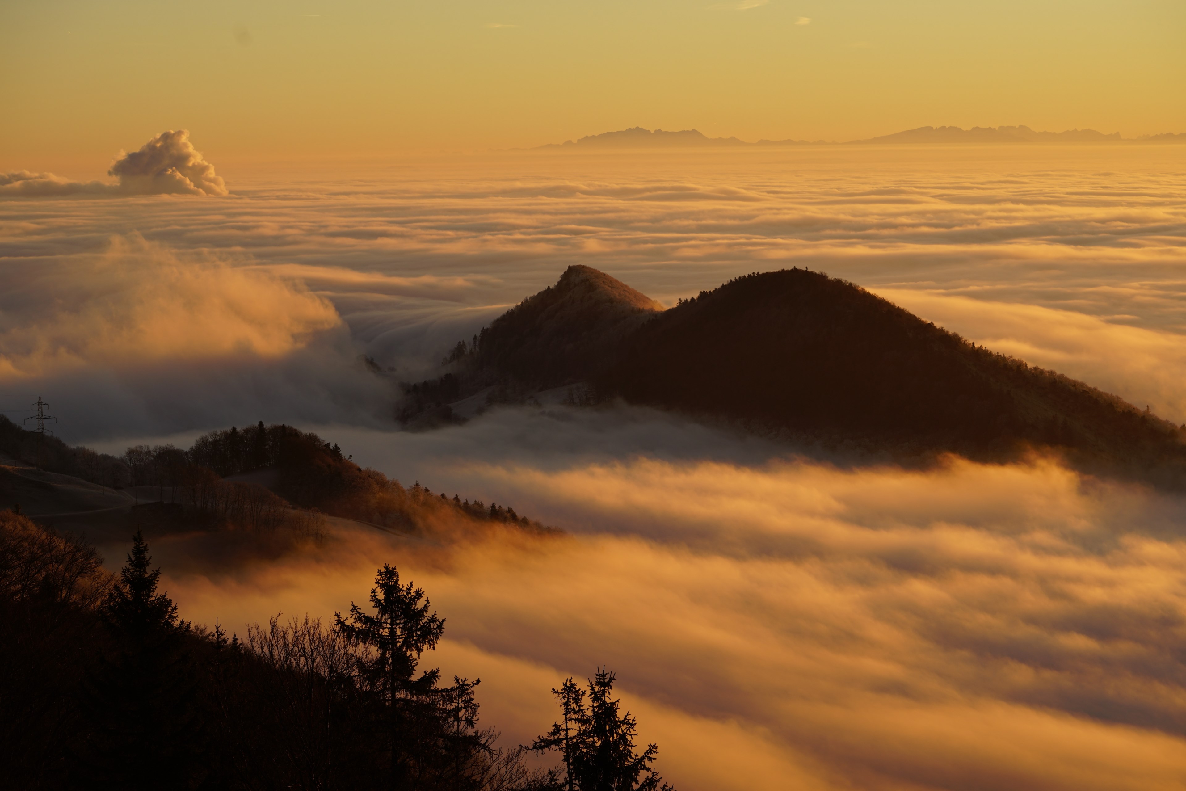 homberg clouds selva marine sea of fog fog lights 4k, HD Wallpaper